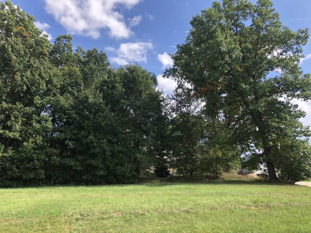 TBD Ontario