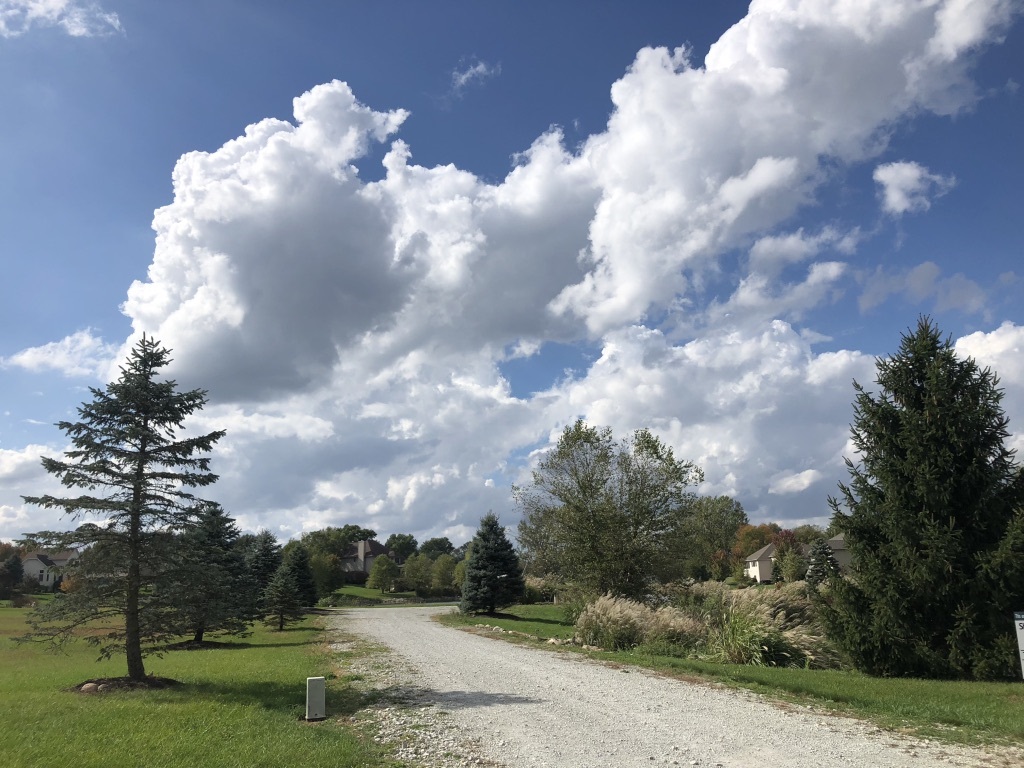 TBD Ontario