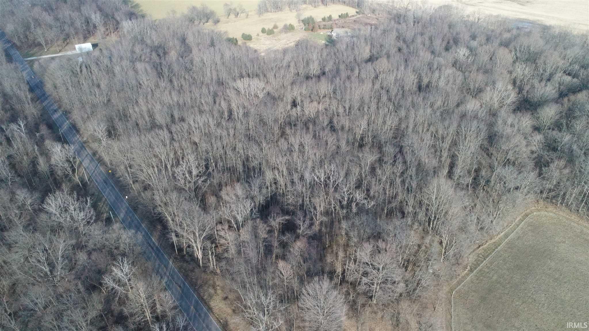 65390 Oak