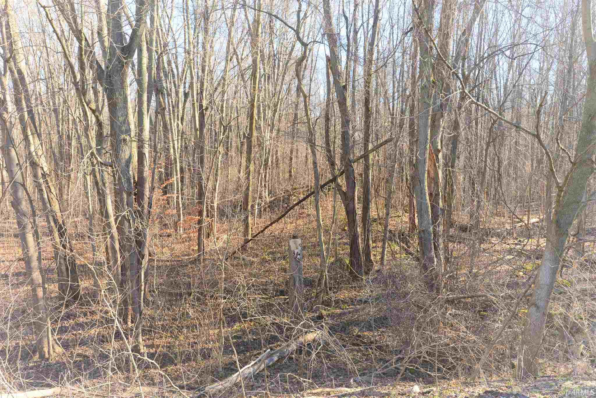 65390 Oak