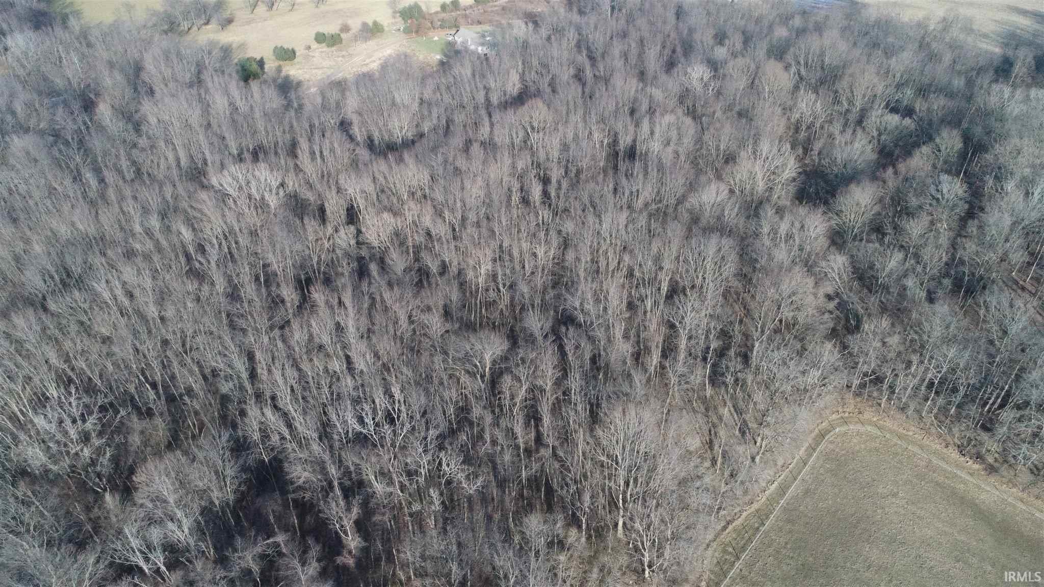 65390 Oak