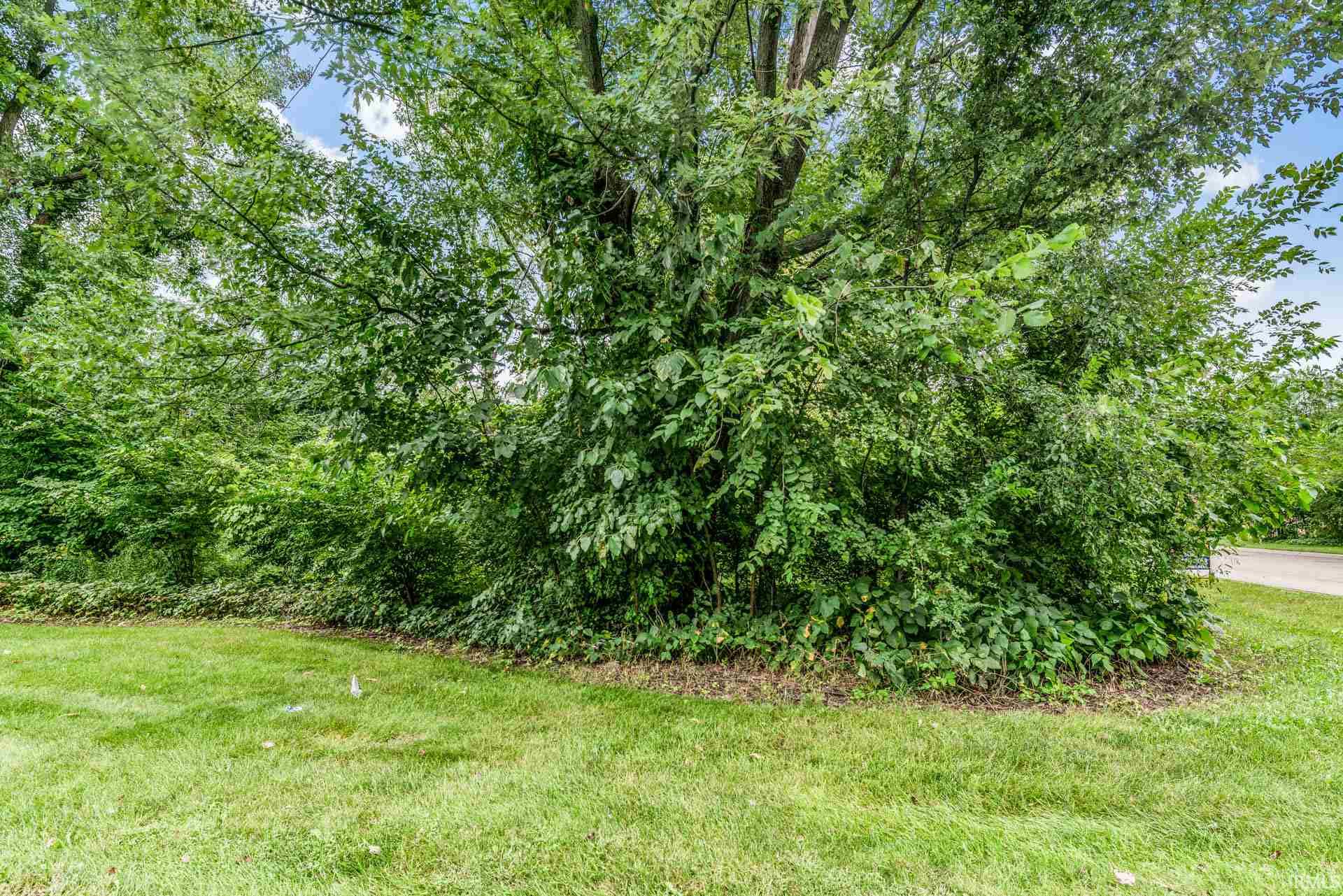 53420 Old Woodbridge, Apt 1