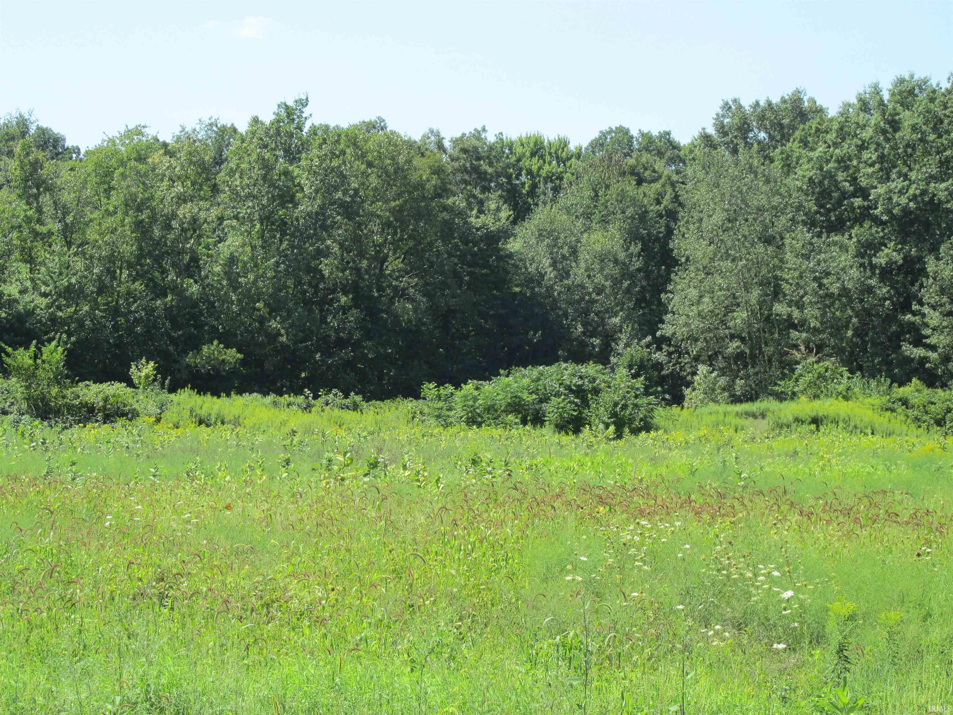  Peotone