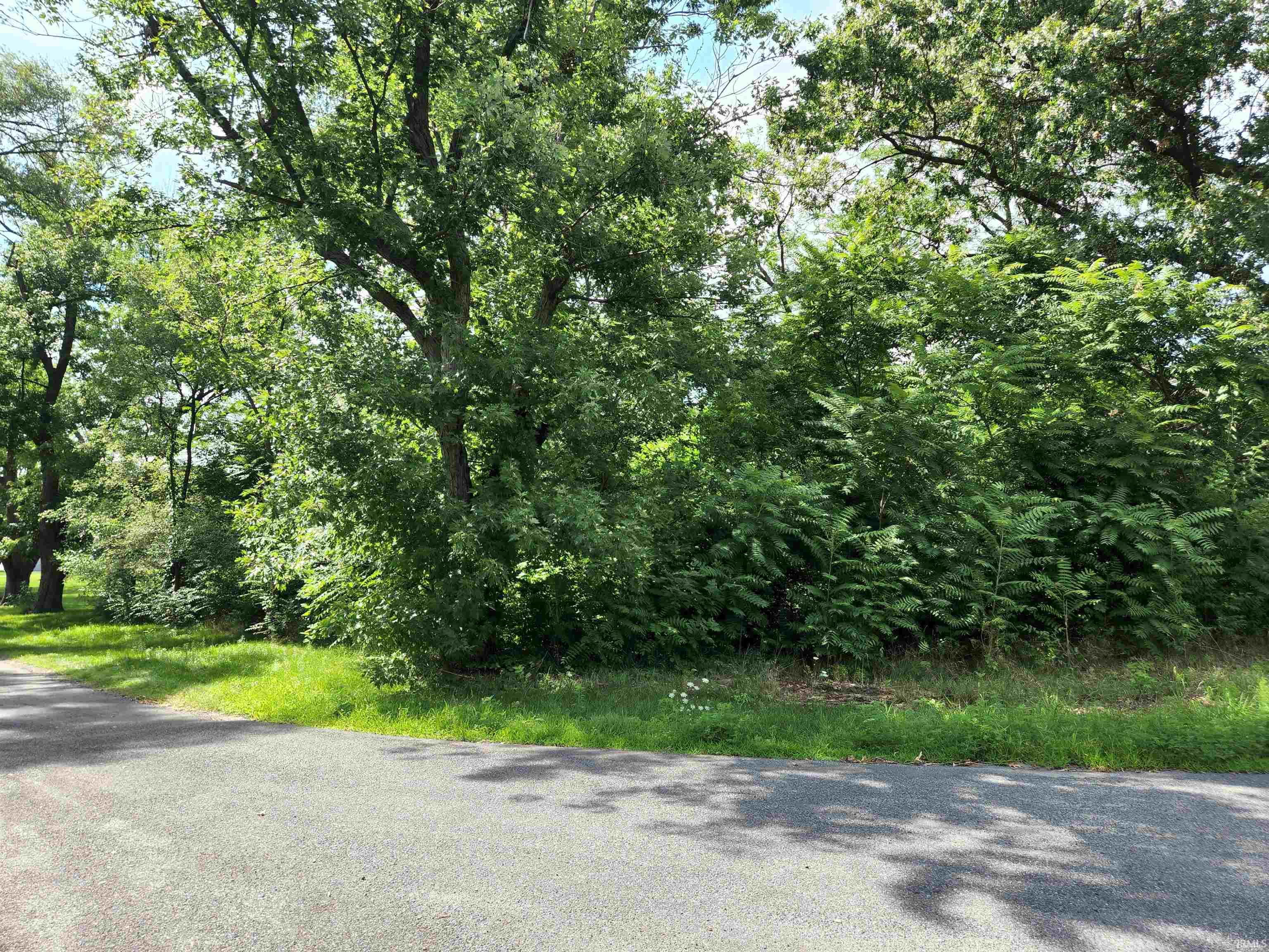 55405 Woodland