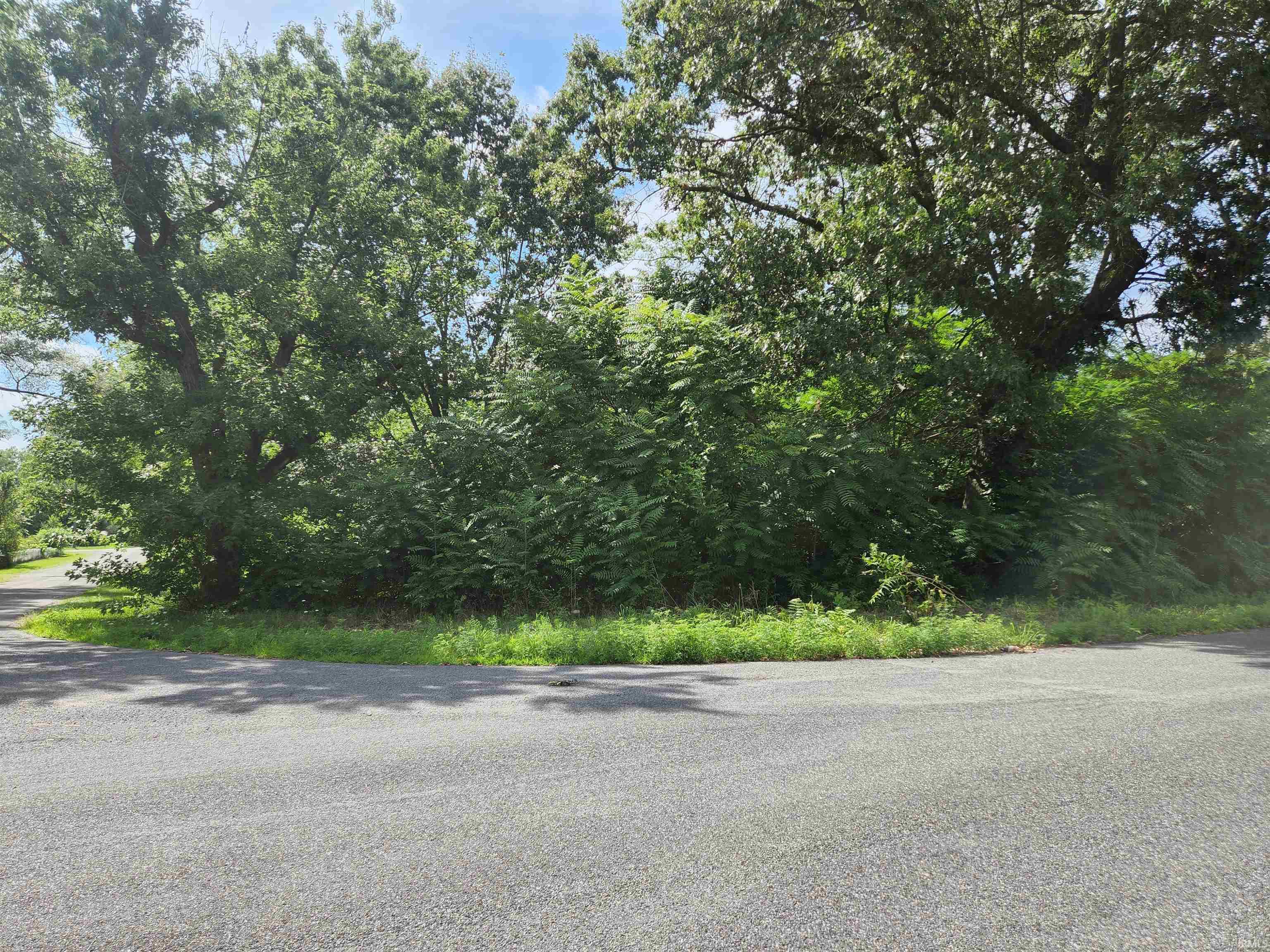55405 Woodland