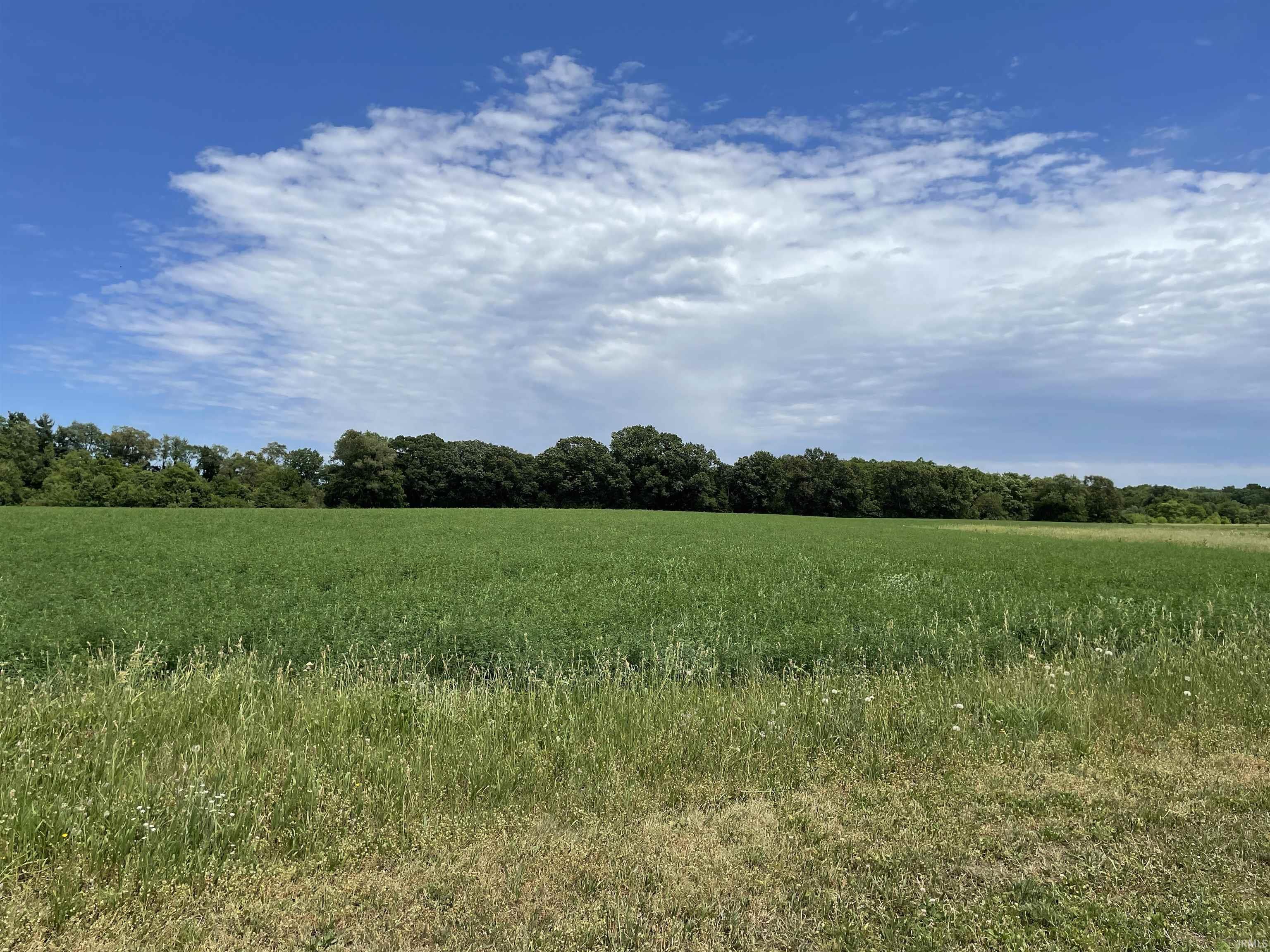Lot 9 Parkway