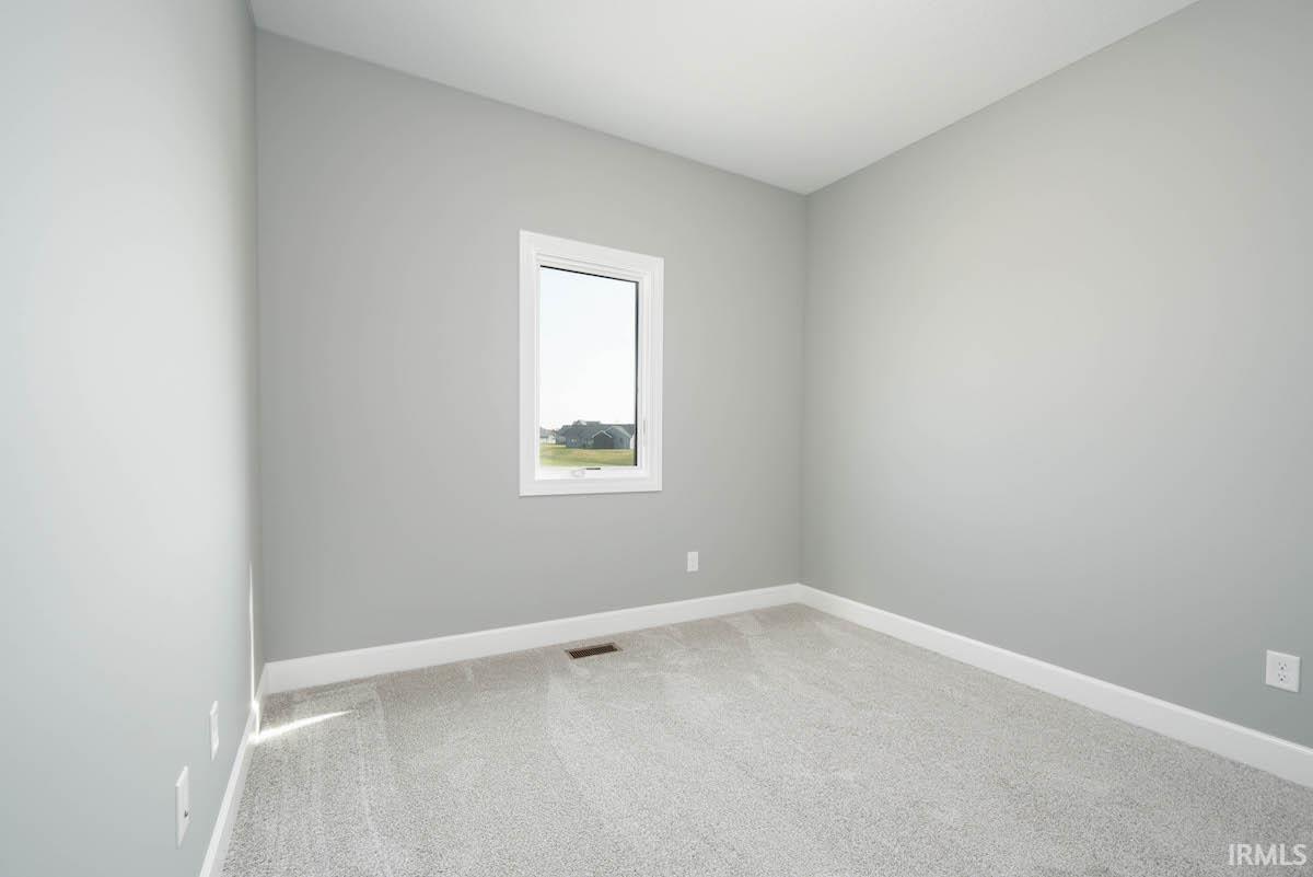 13499 Fringe Tree