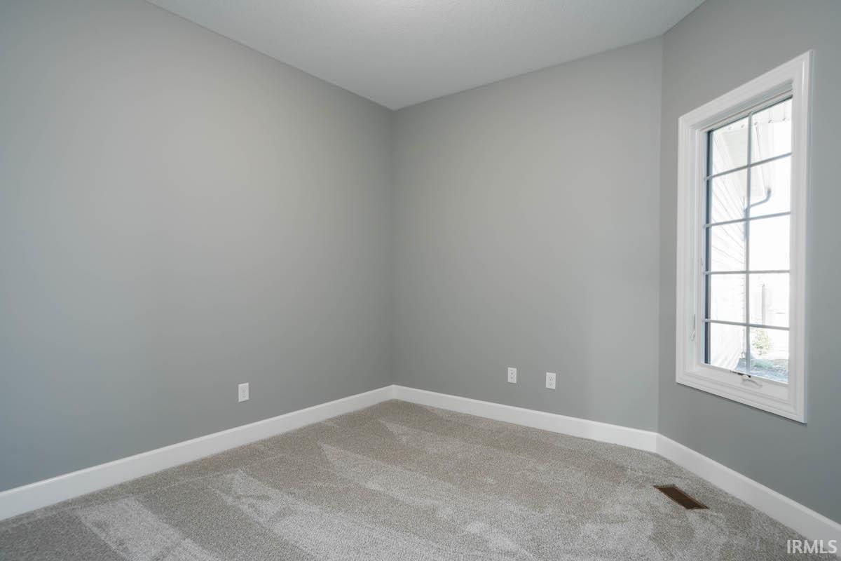 13499 Fringe Tree