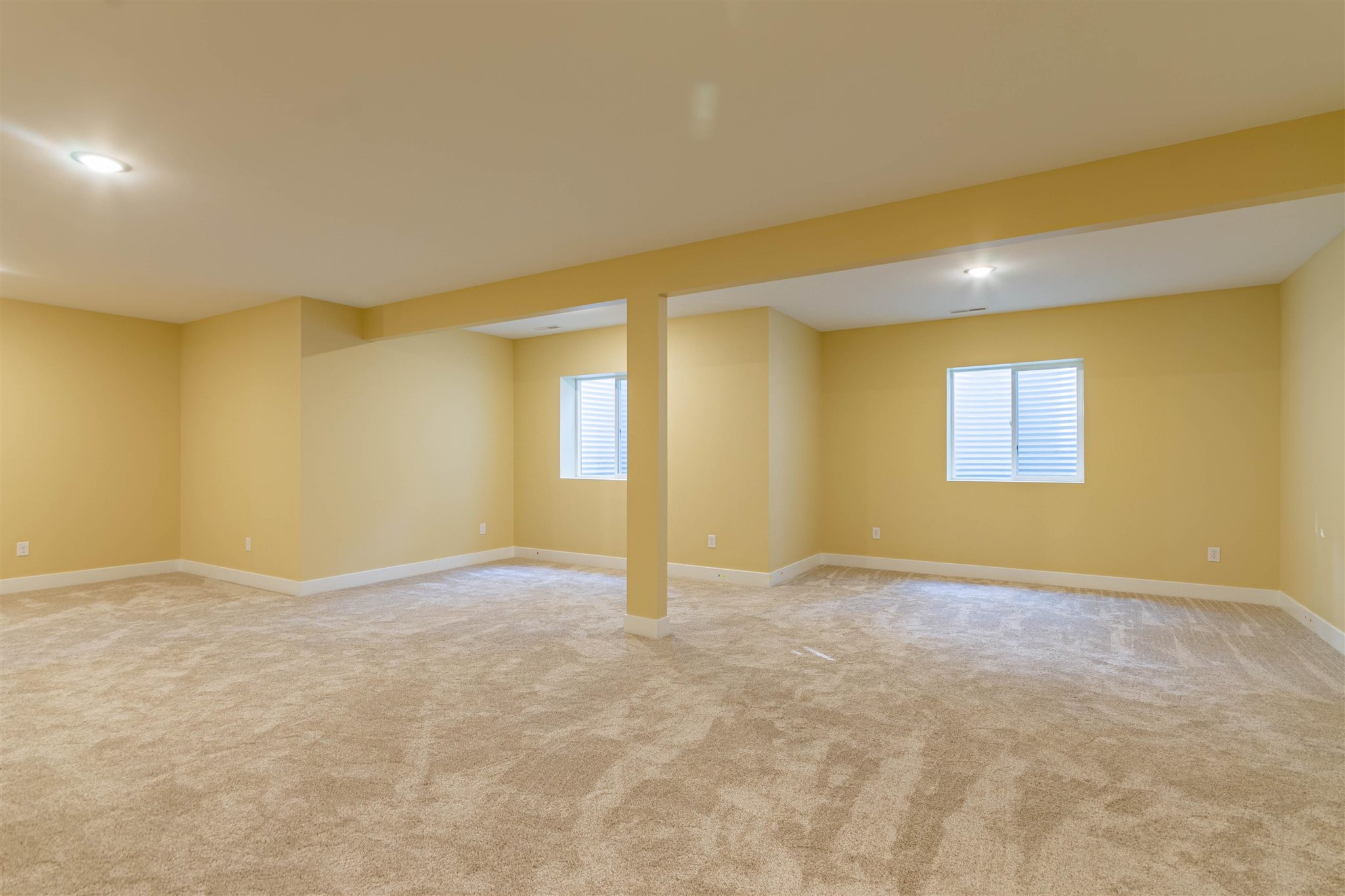 50930 Birch
