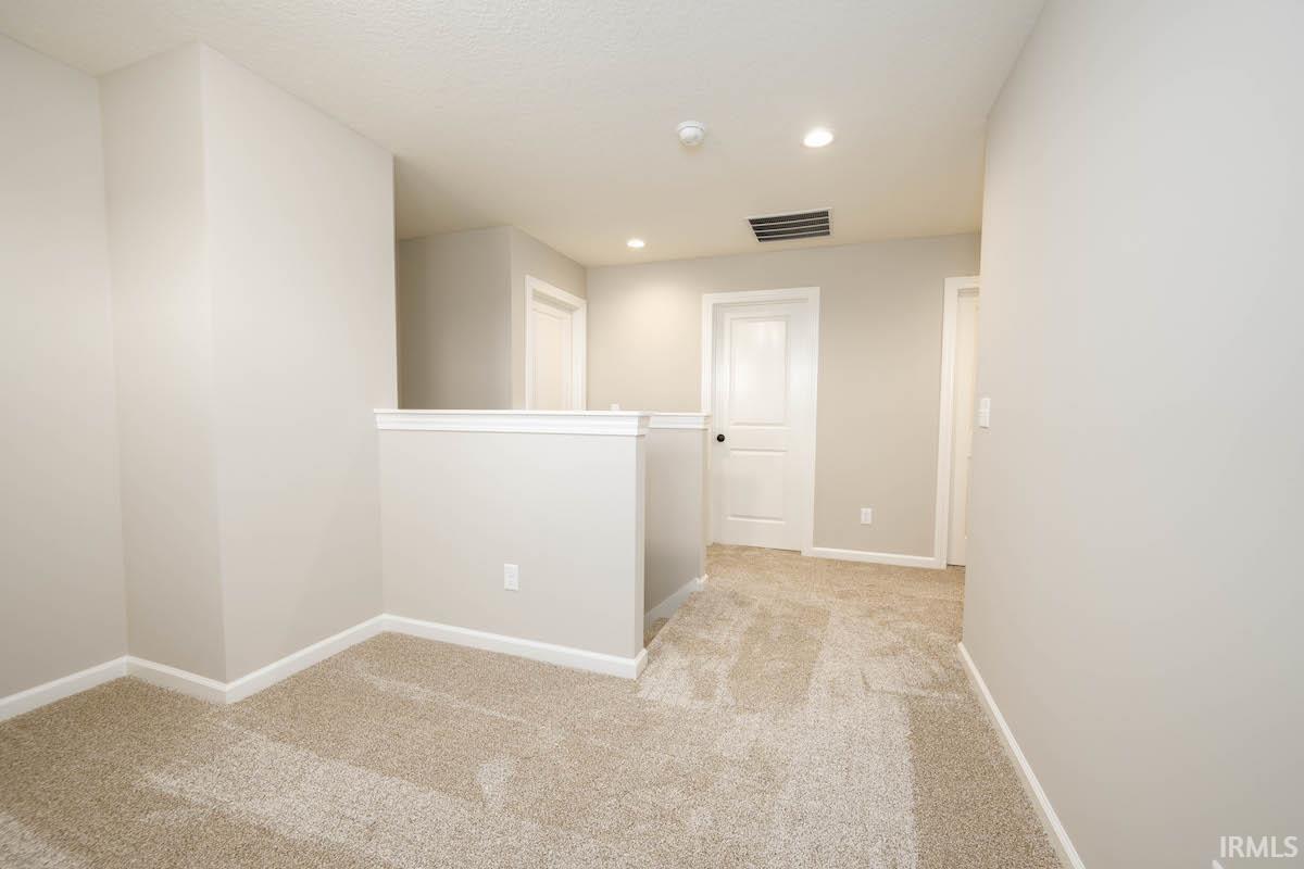 13206 Fringe Tree