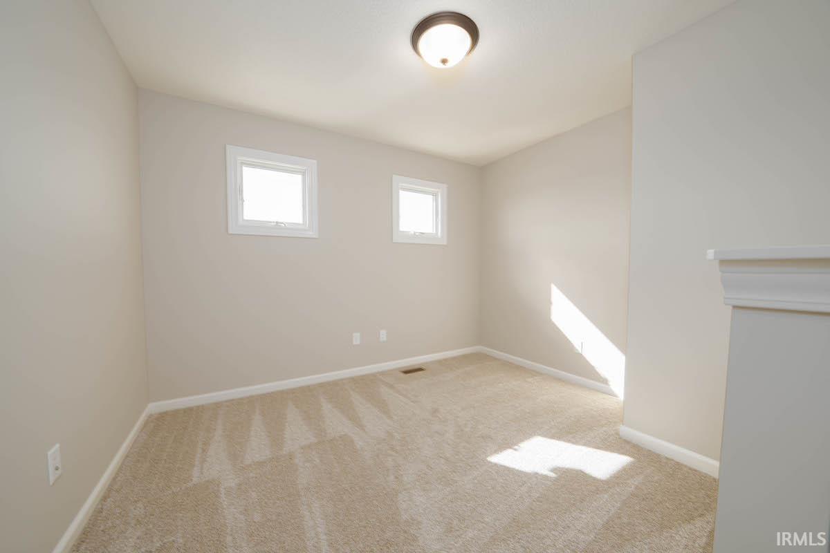 13206 Fringe Tree