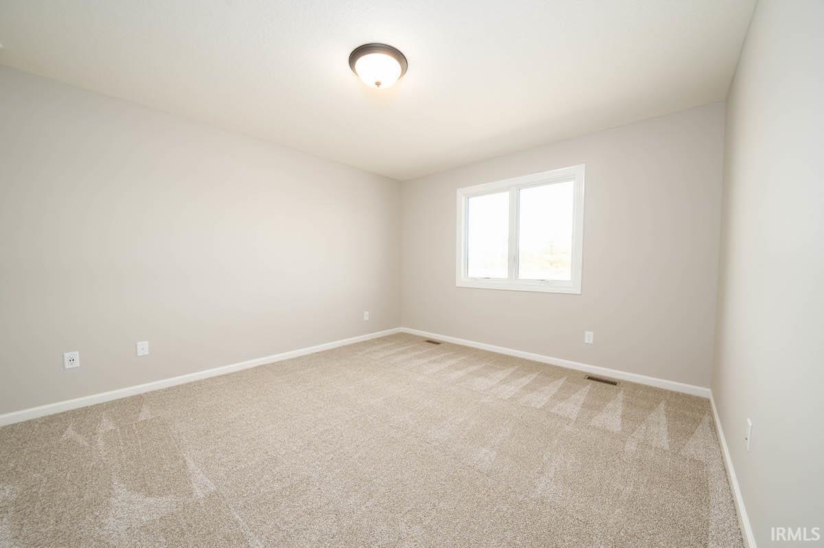 13206 Fringe Tree
