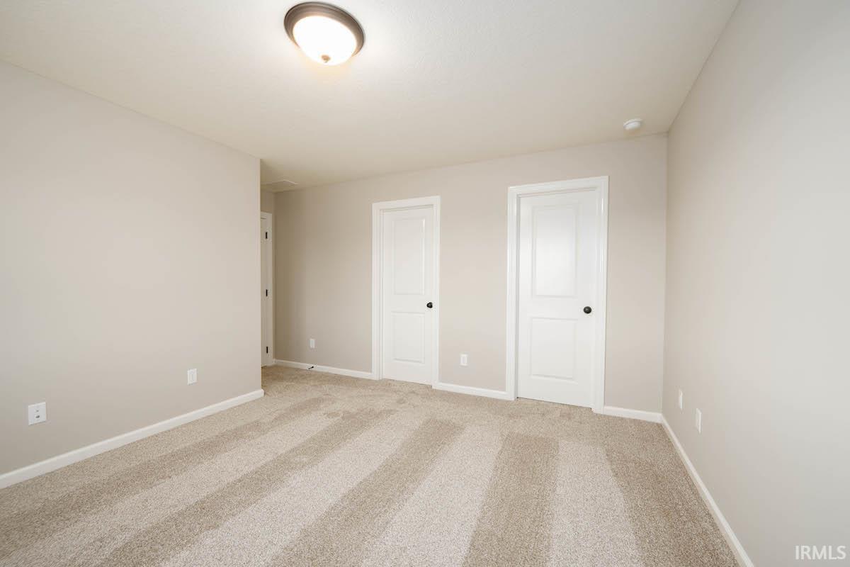 13206 Fringe Tree