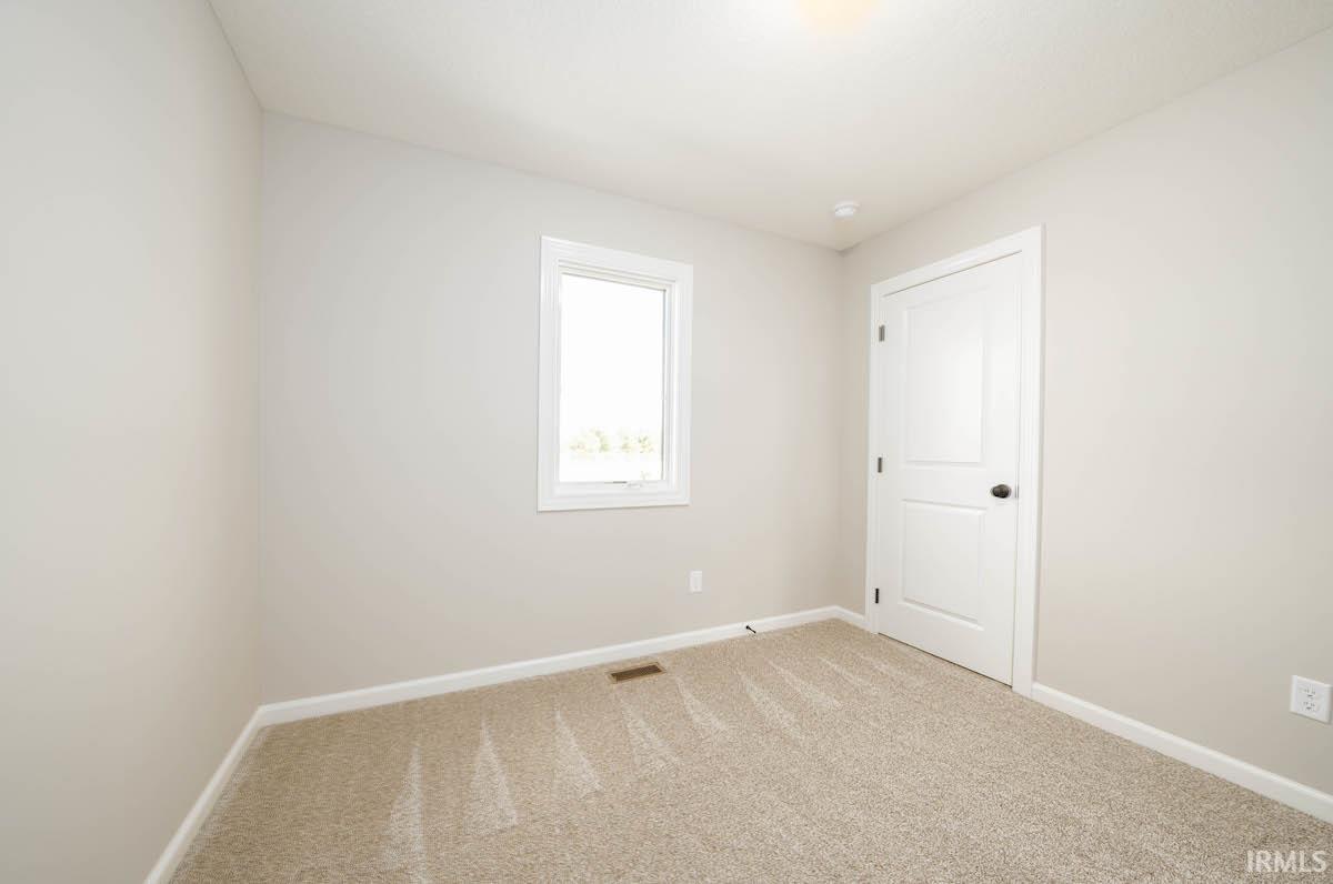 13206 Fringe Tree