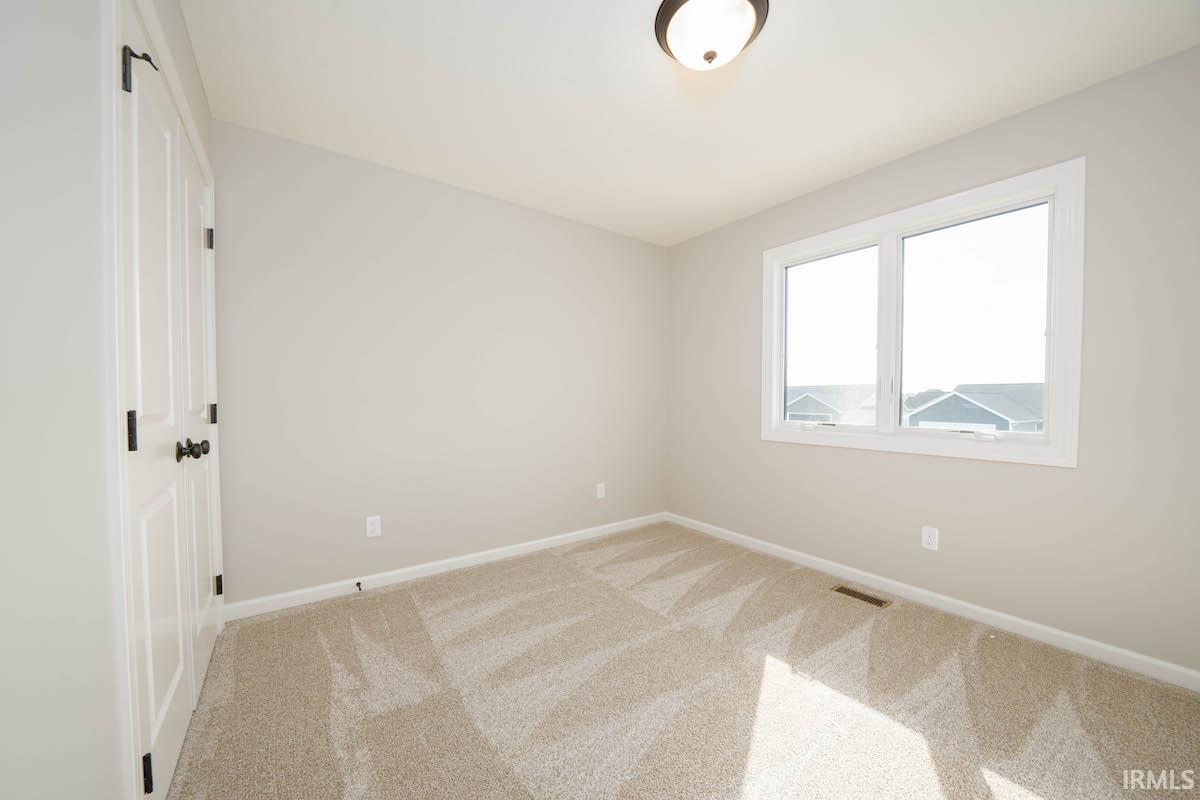13206 Fringe Tree
