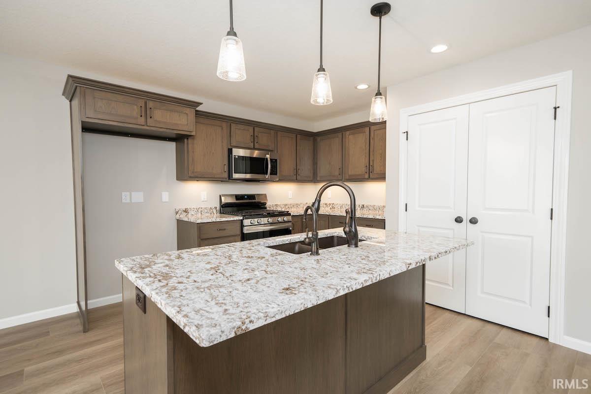 13206 Fringe Tree