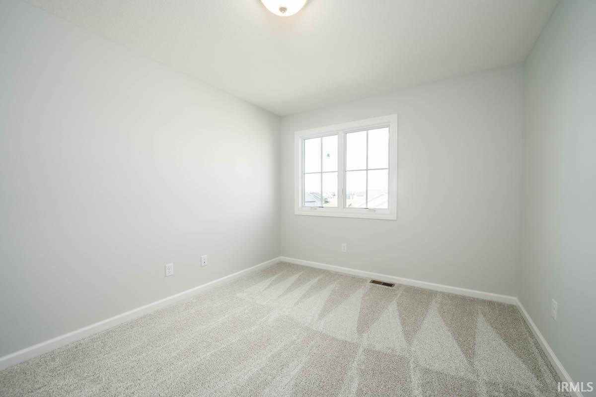 13211 Silk Tree
