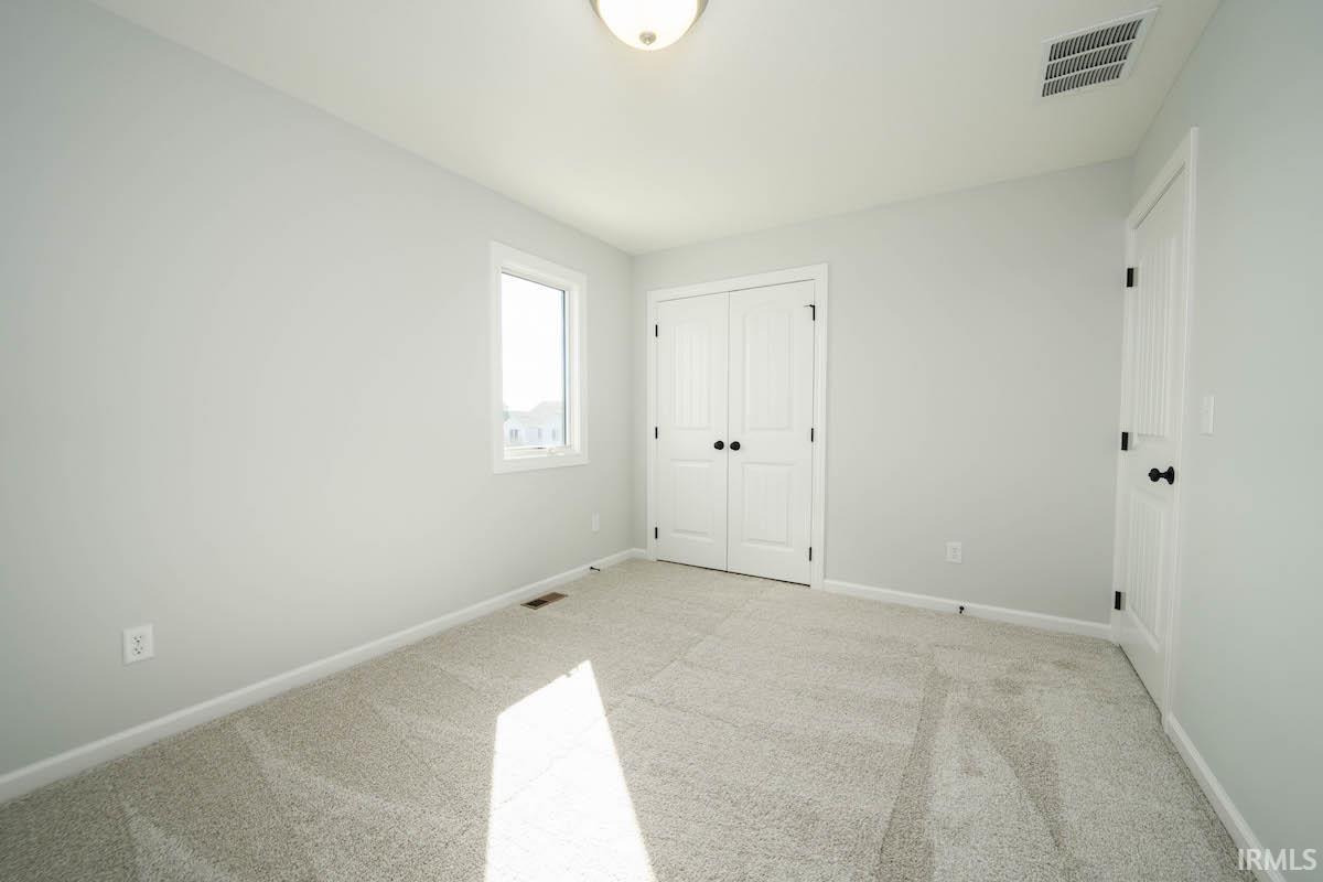 13211 Silk Tree