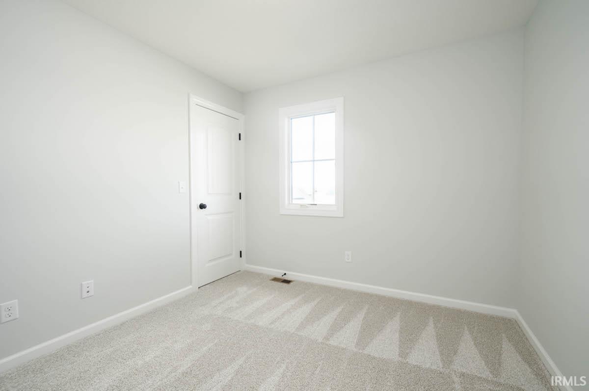 13211 Silk Tree