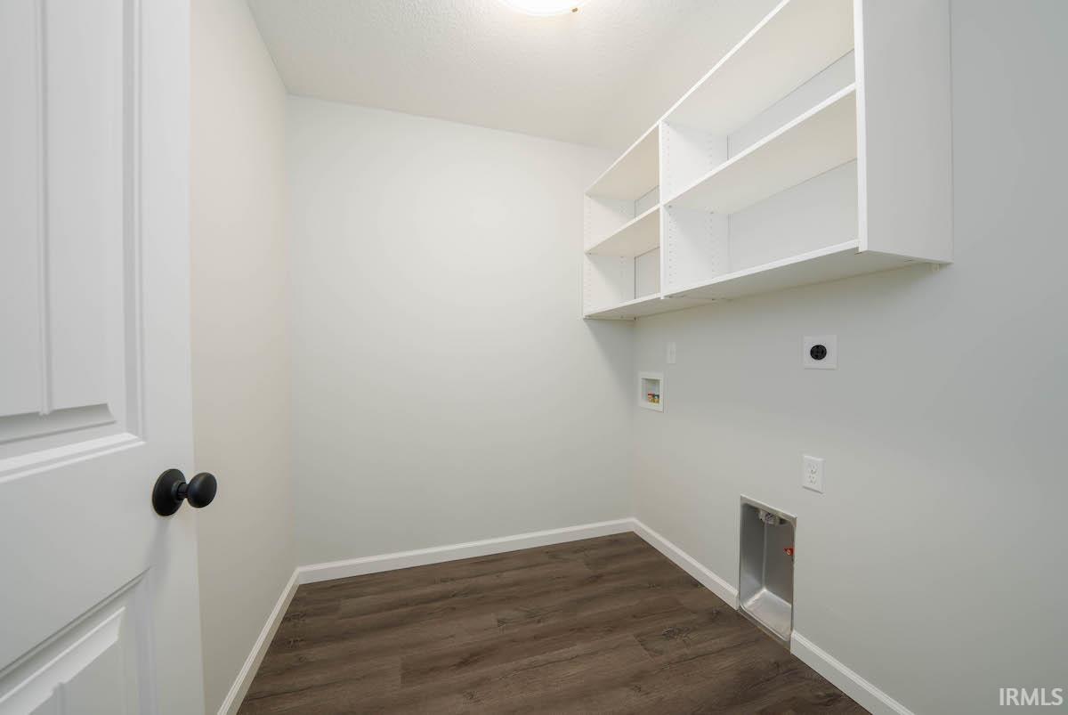 13211 Silk Tree