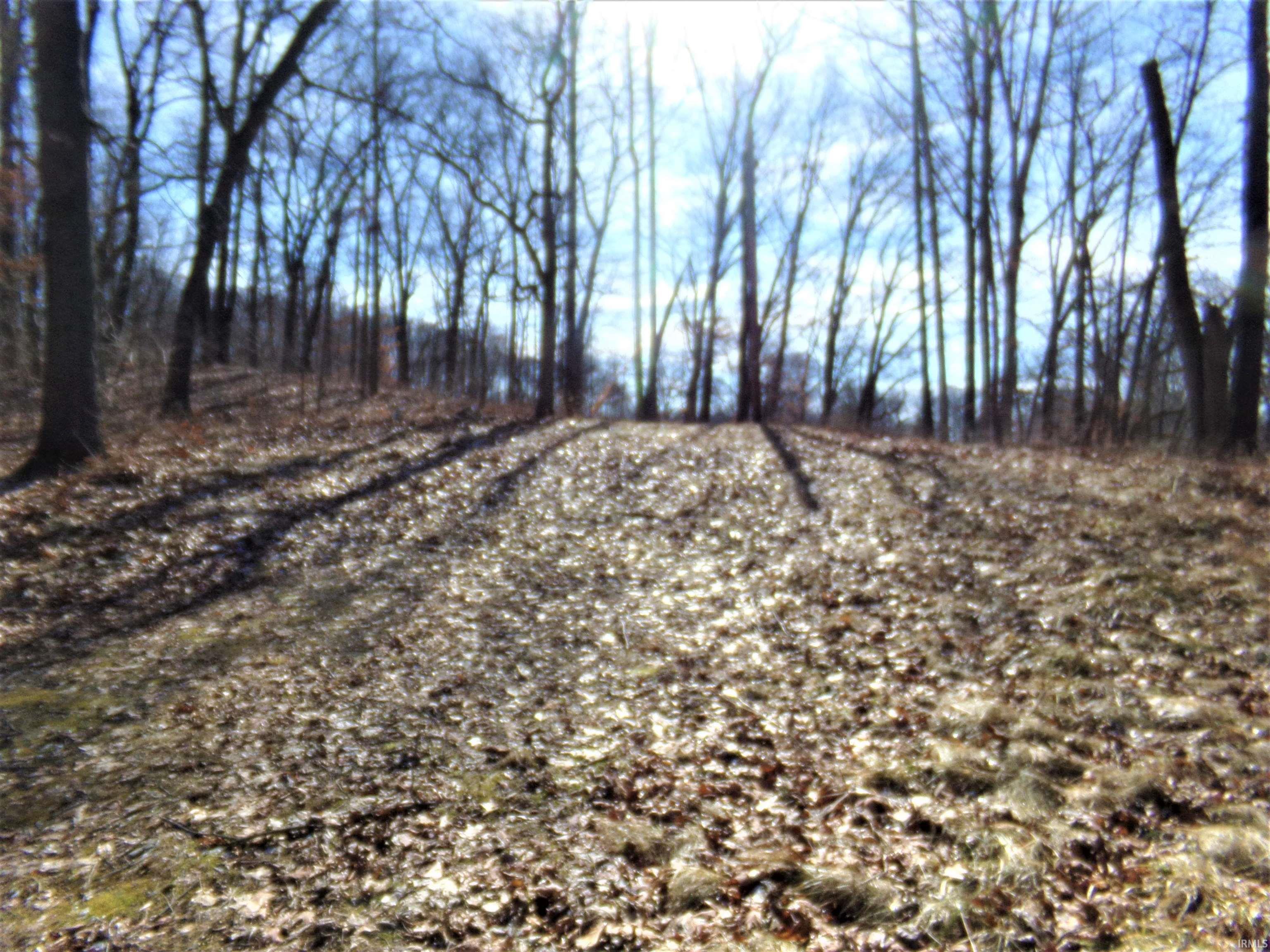 40 Lane 117, Turkey Lake