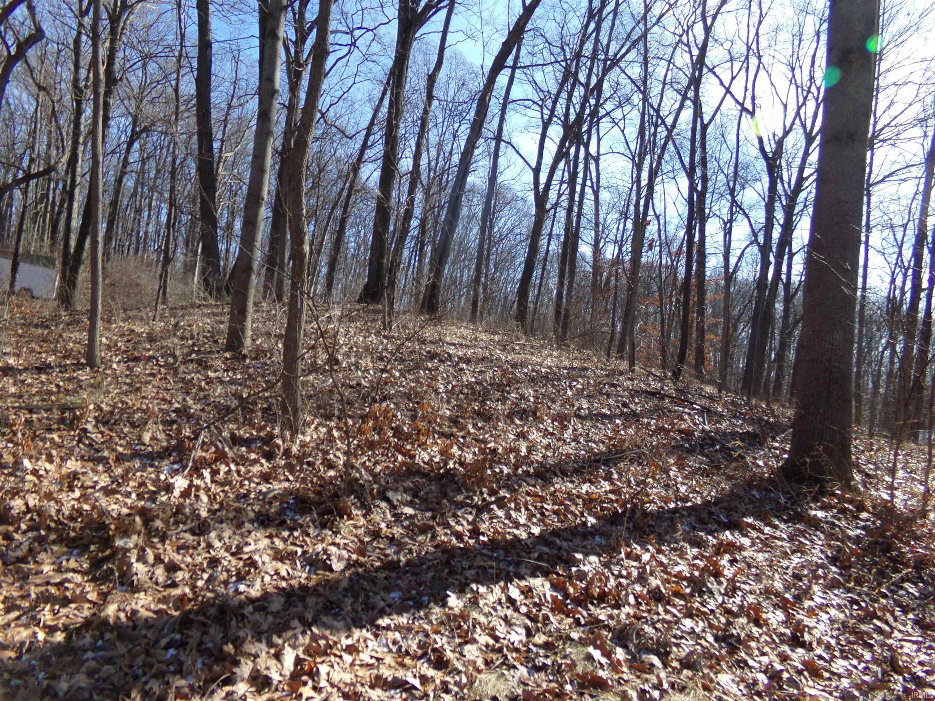 40 Lane 117, Turkey Lake