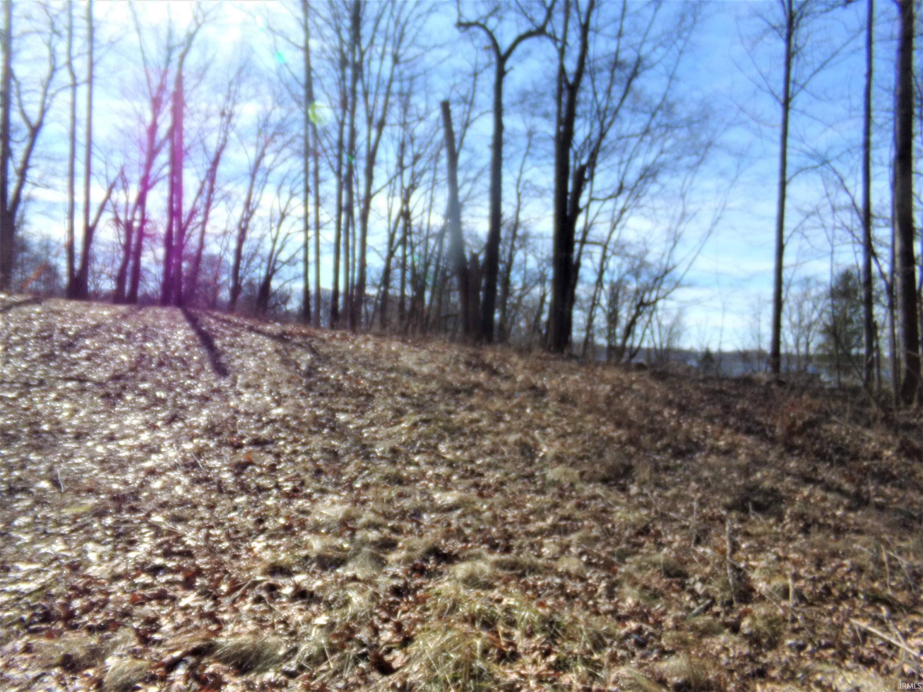 40 Lane 117, Turkey Lake