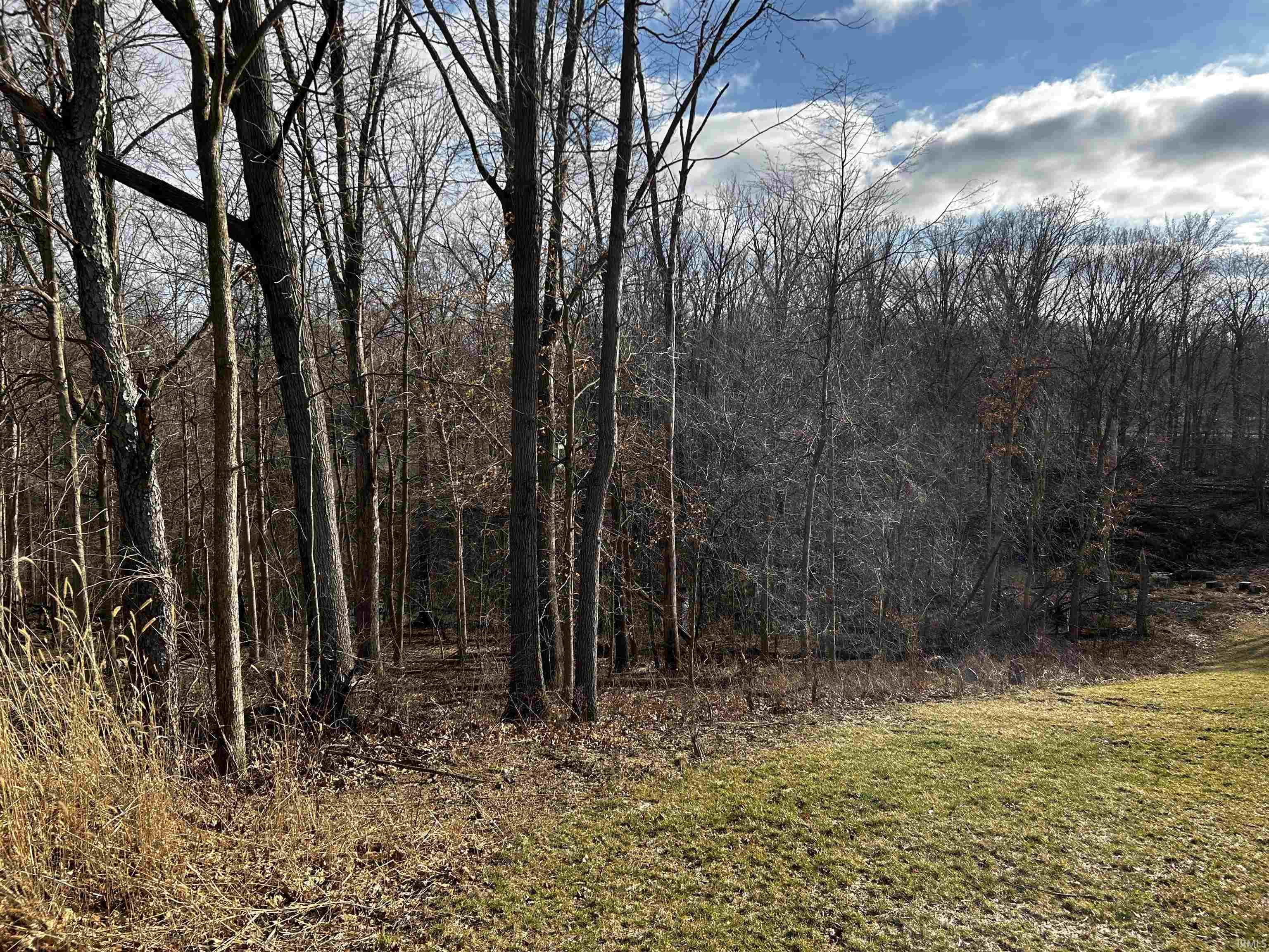 1688 Ravenwood