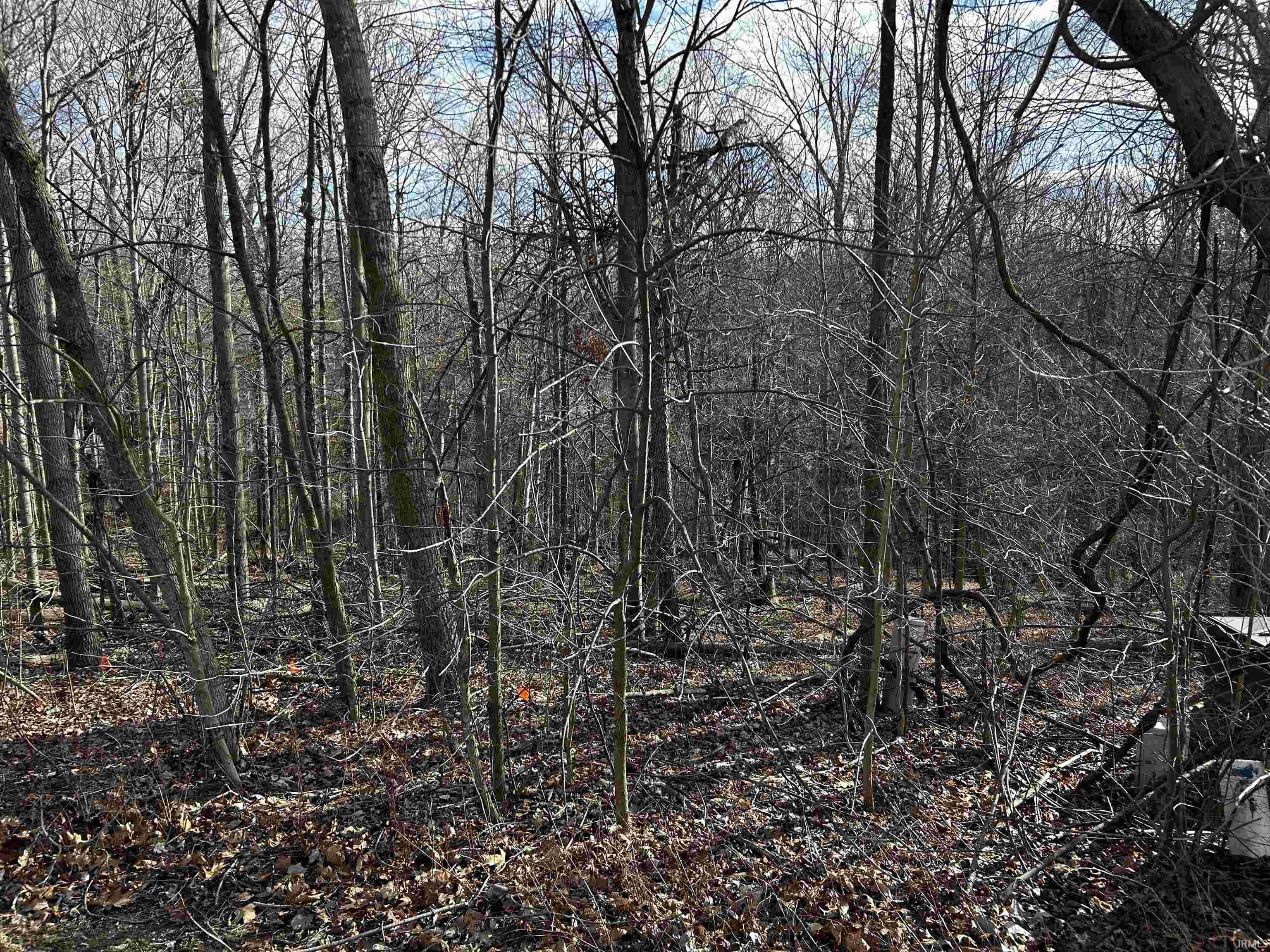 1688 Ravenwood