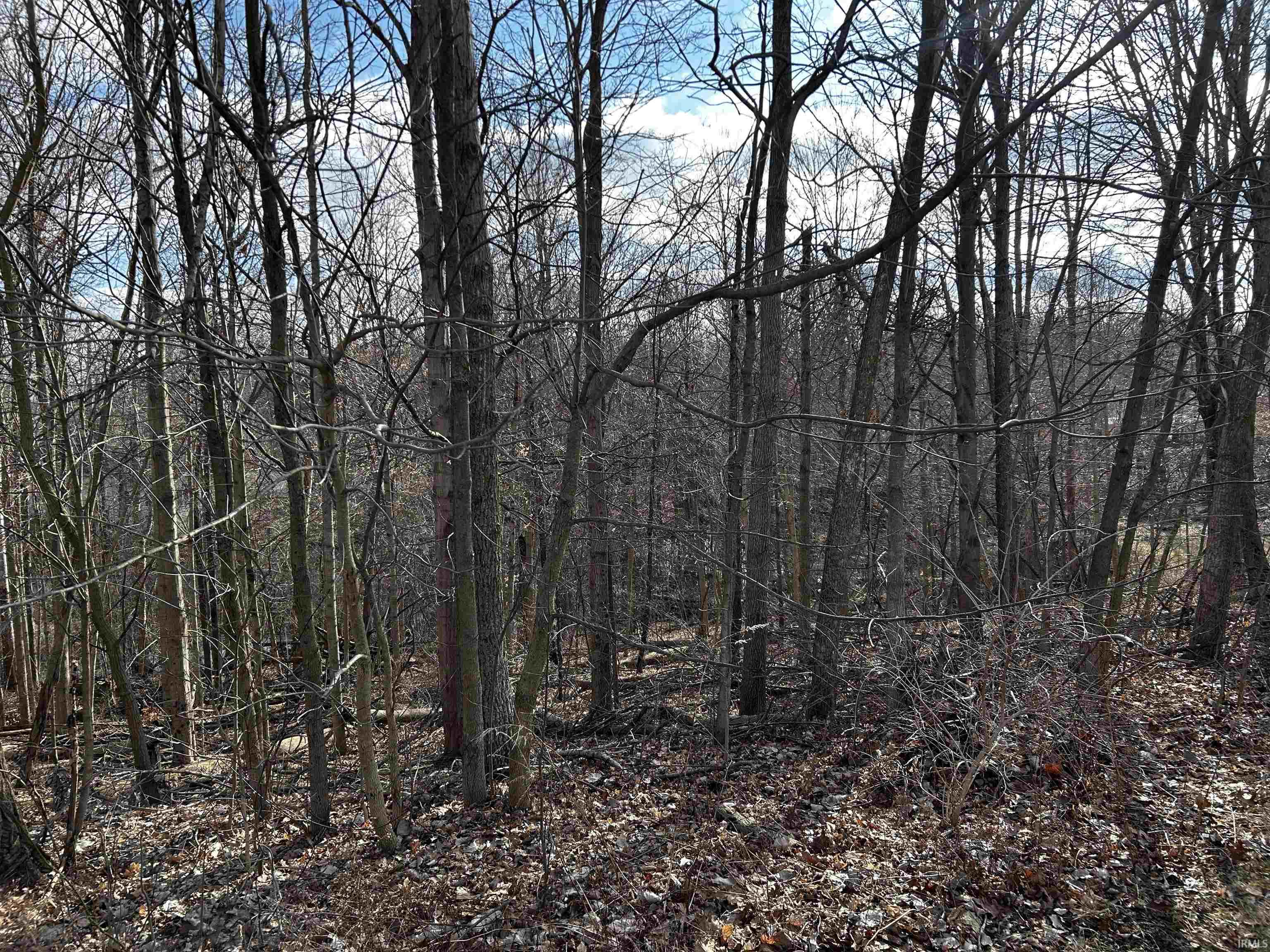 1688 Ravenwood