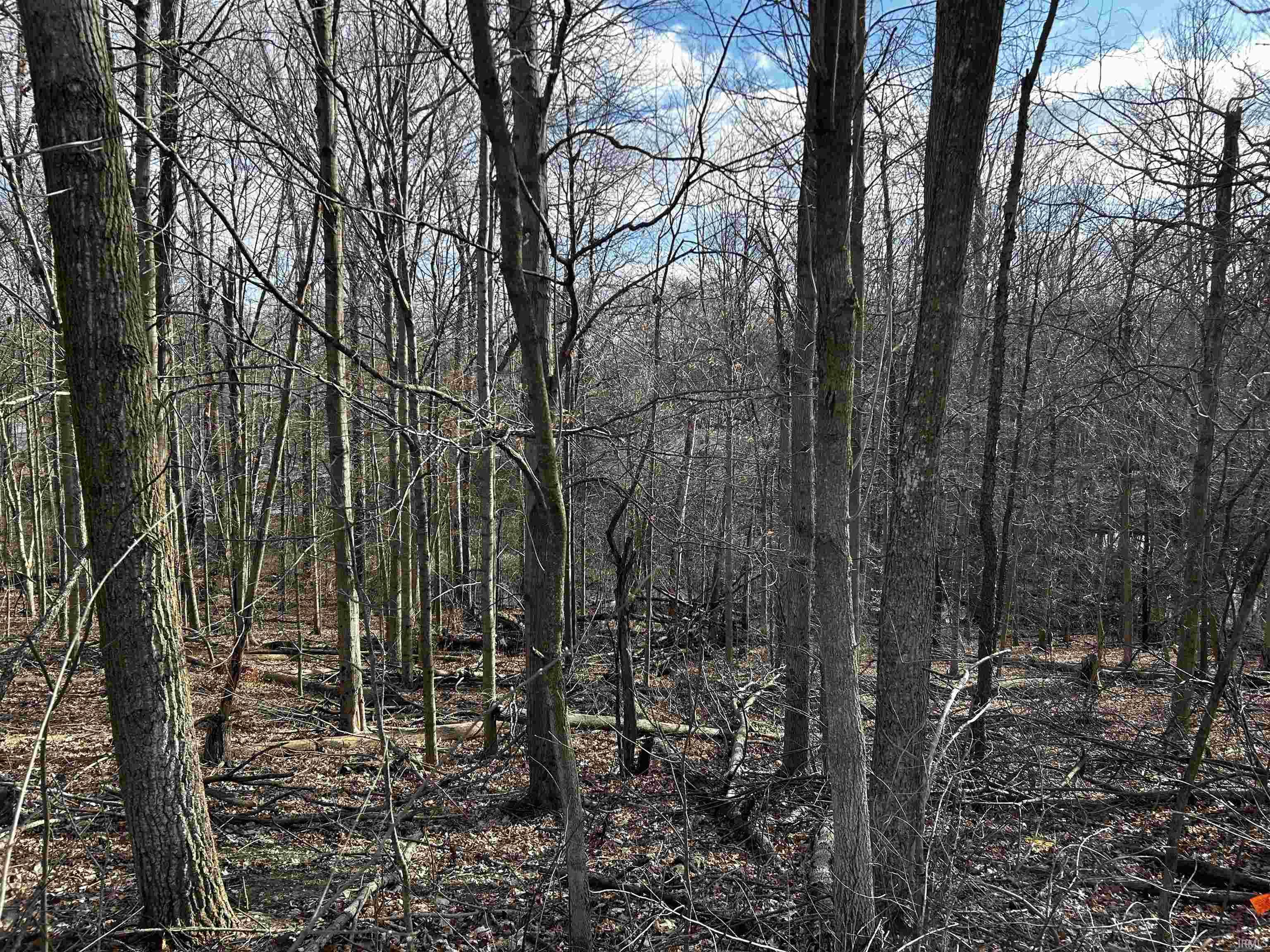 1688 Ravenwood