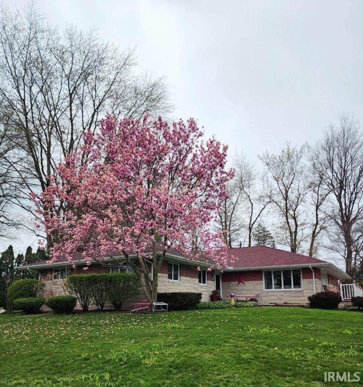 64541 Orchard