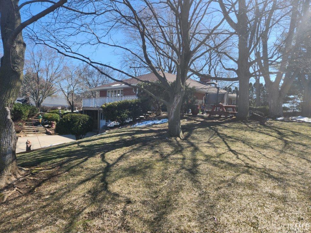 64541 Orchard