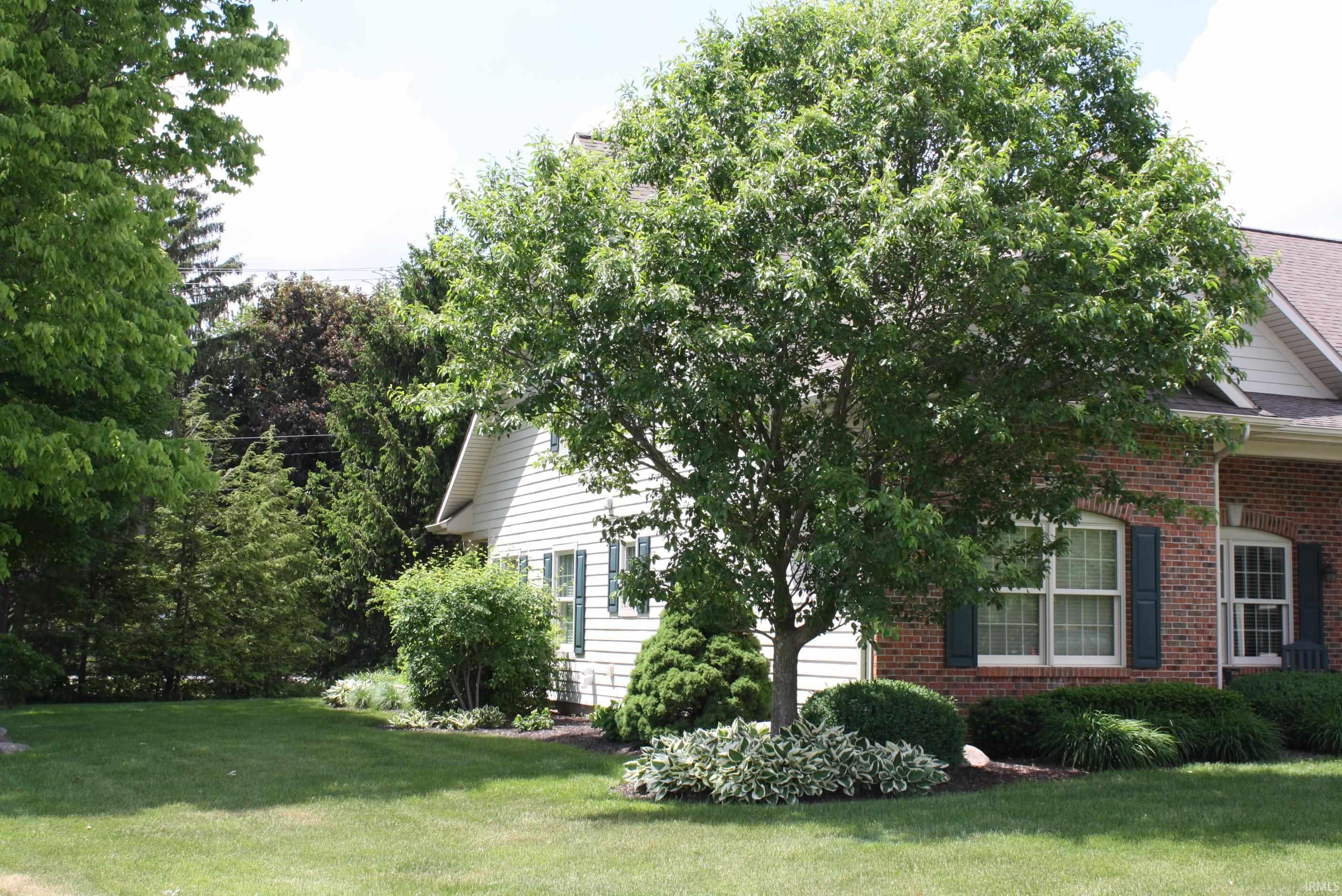 6339 Oak