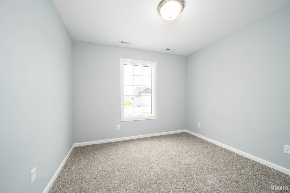 13583 Fringe Tree