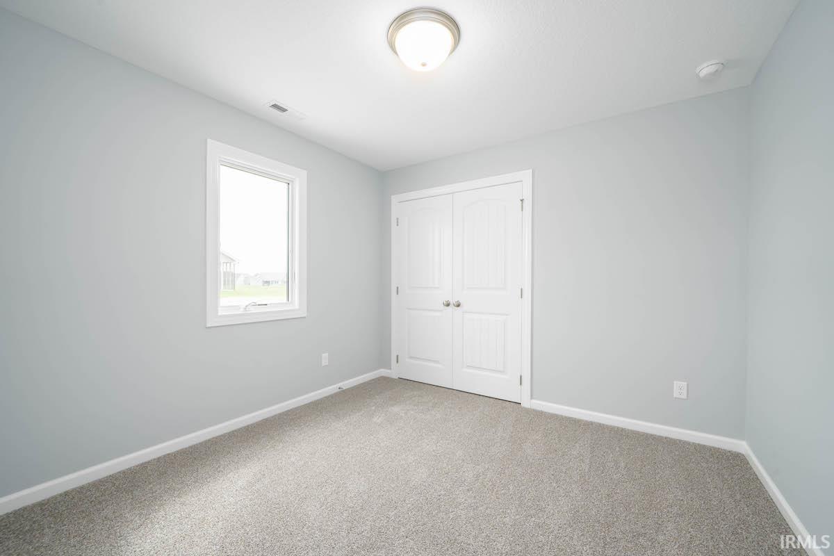 13583 Fringe Tree