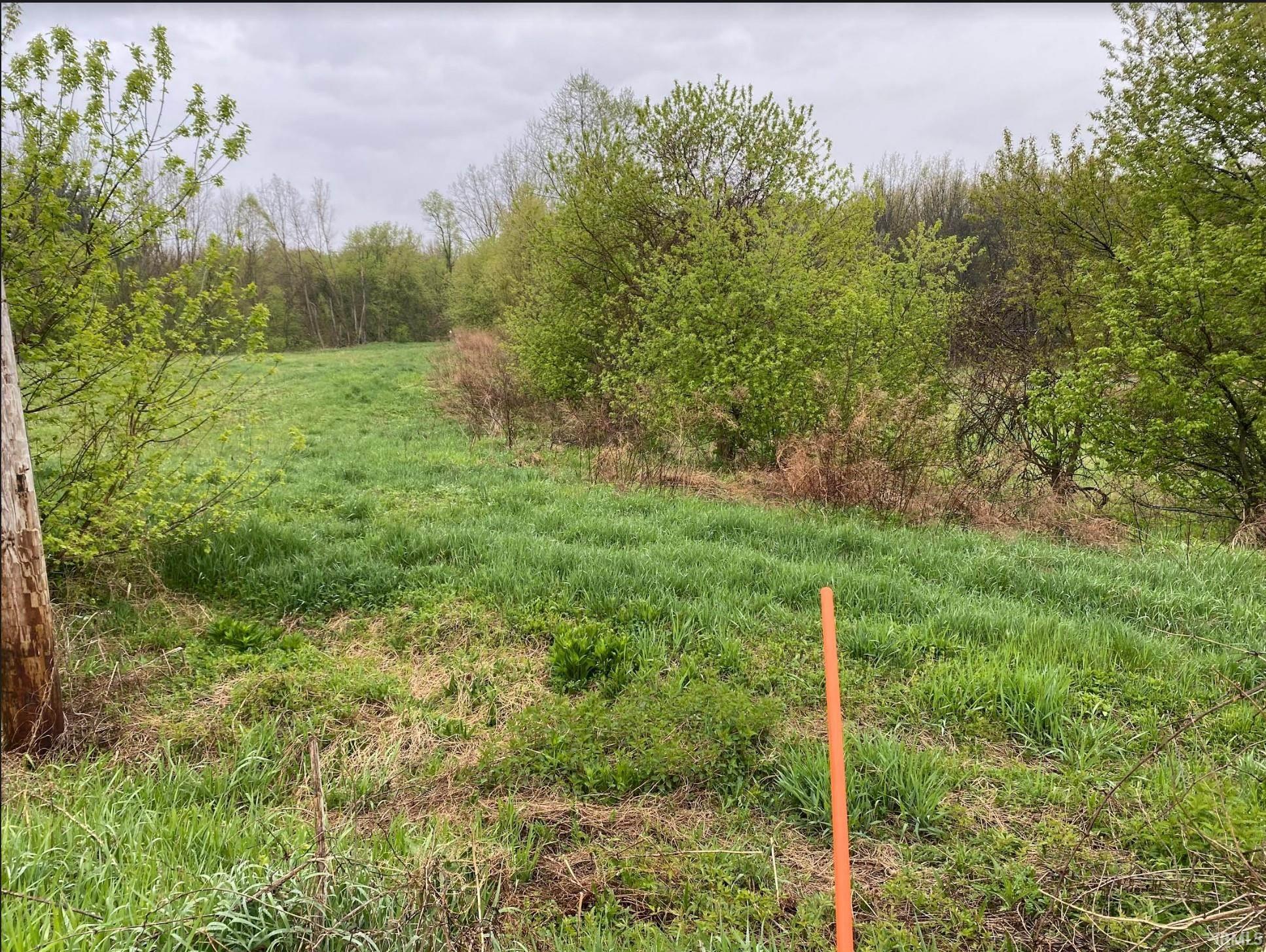 Lot 2 Lake Trail