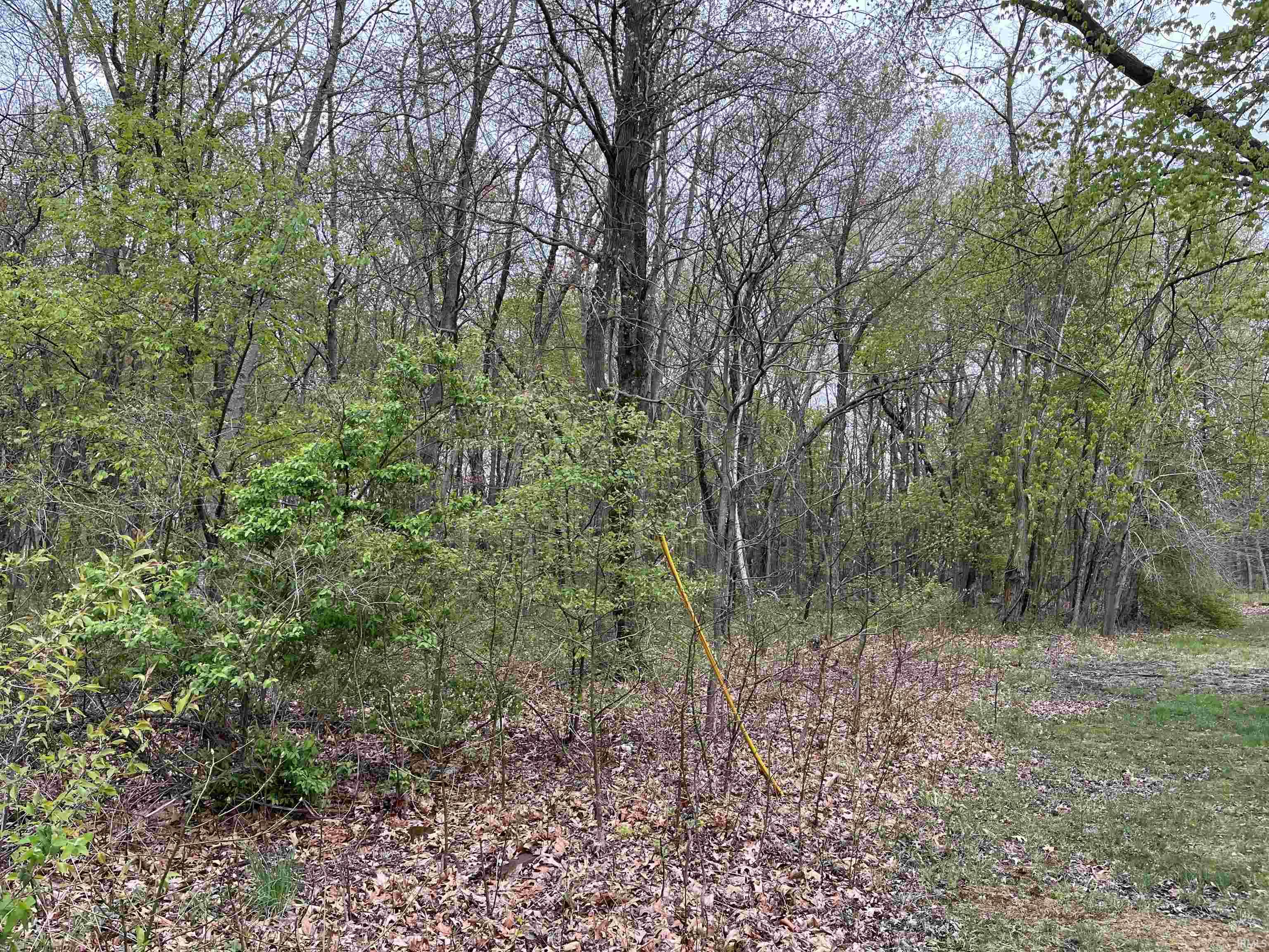 4189 216 South