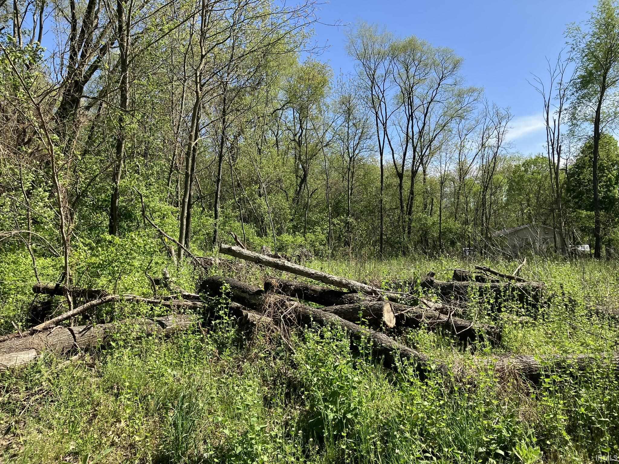 55840 Pine