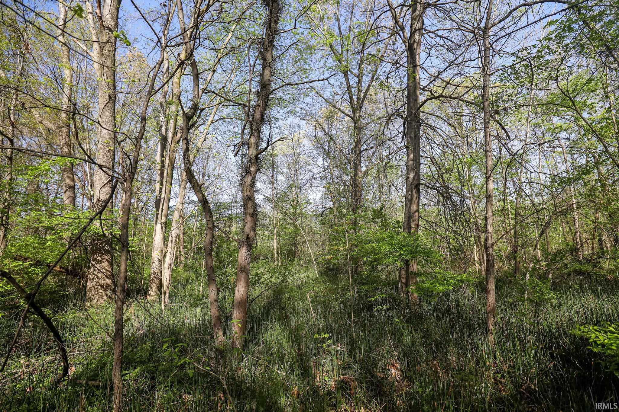  Sycamore Bend