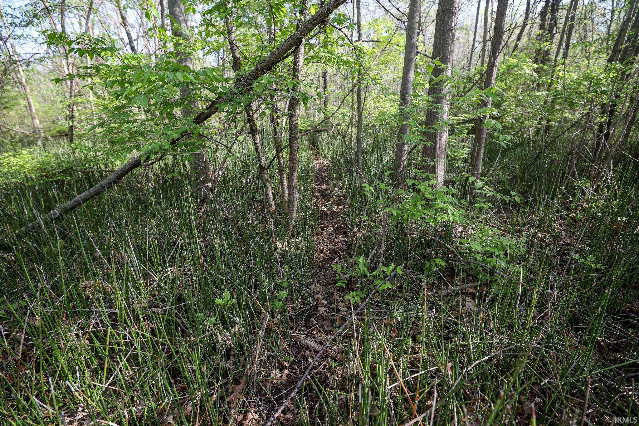 Sycamore Bend