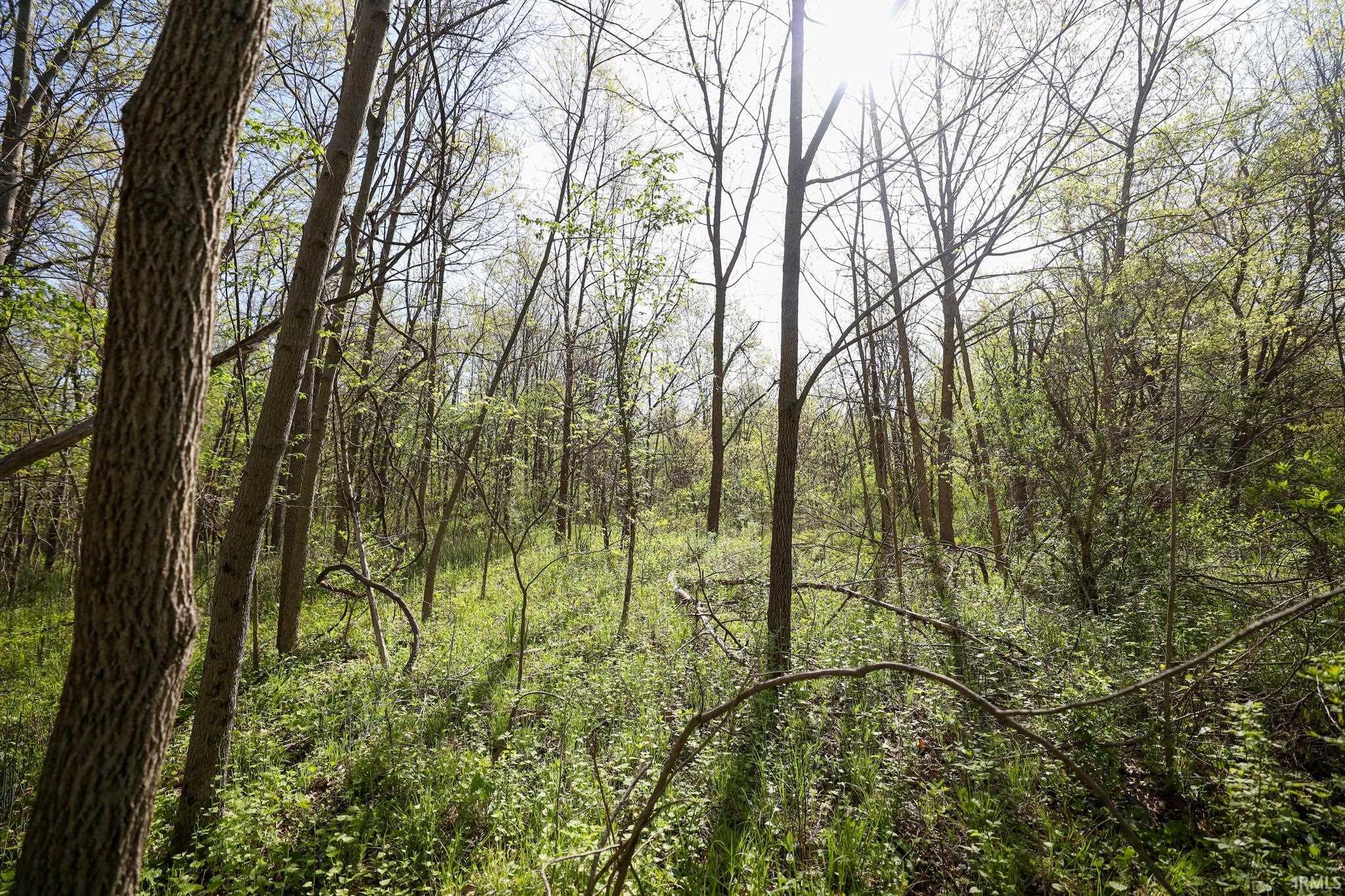  Sycamore Bend