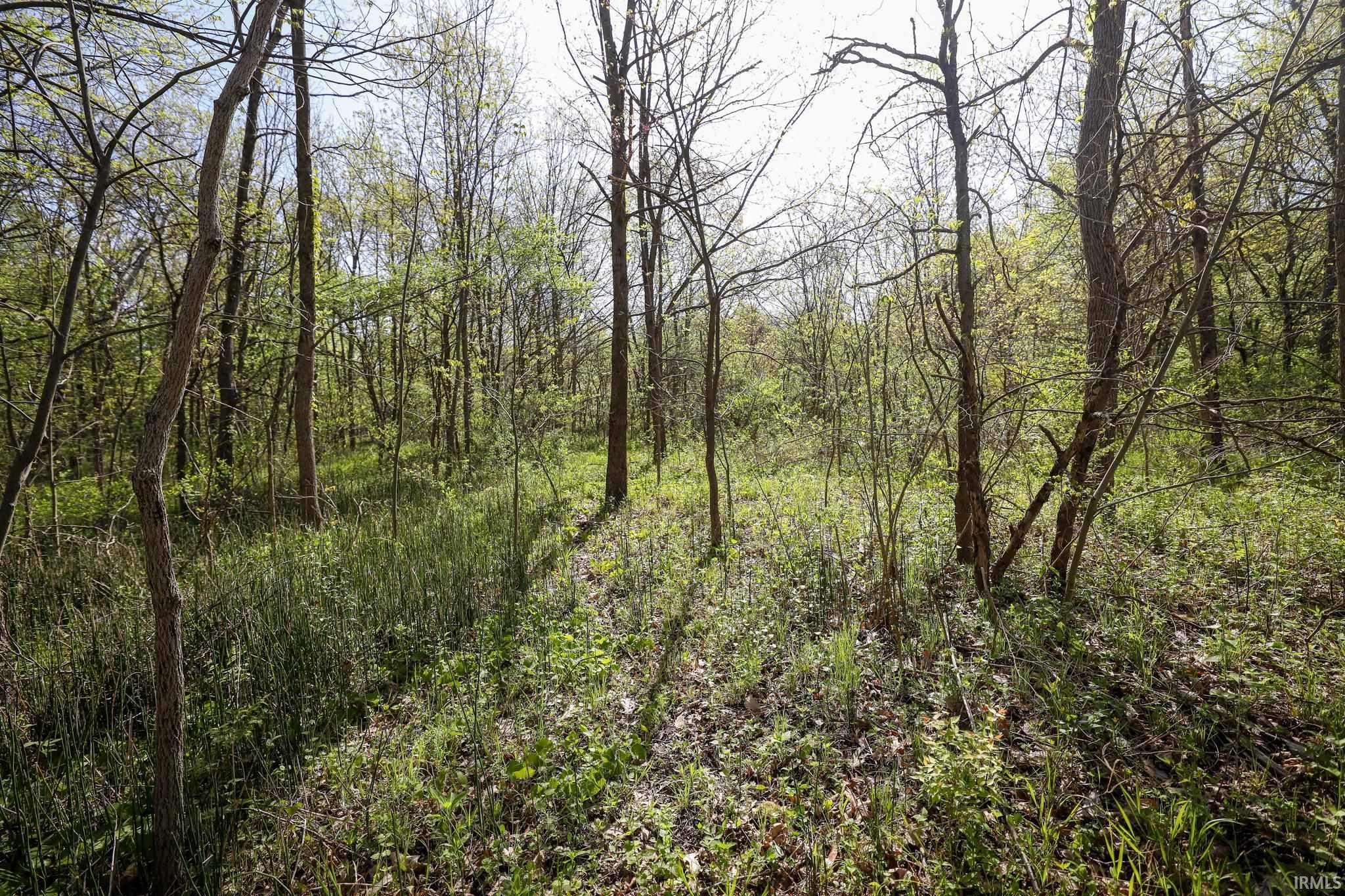  Sycamore Bend