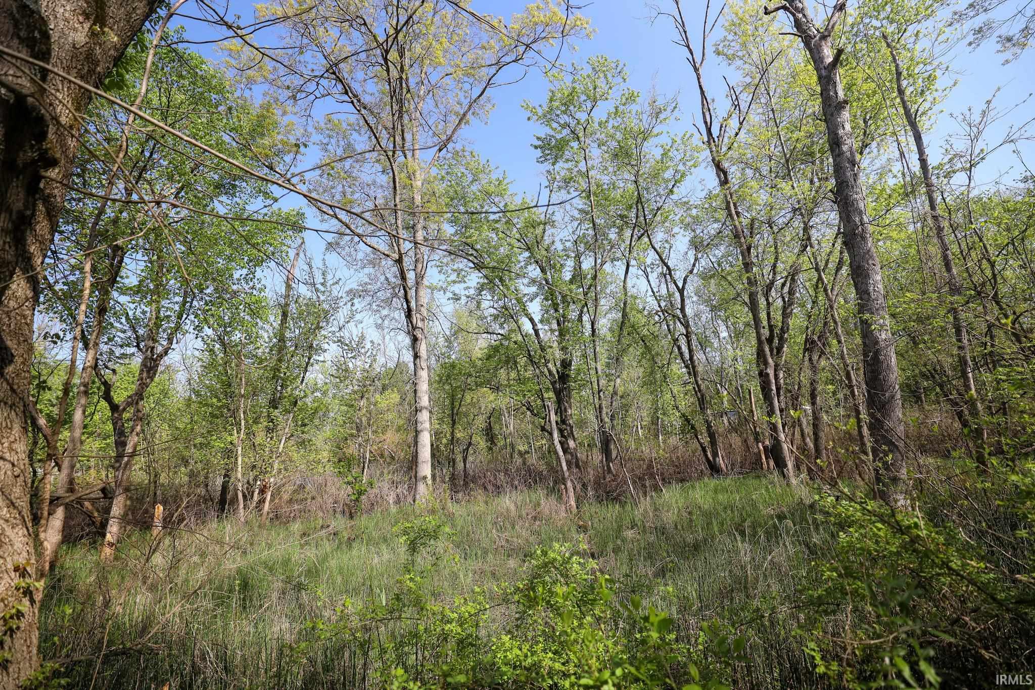  Sycamore Bend