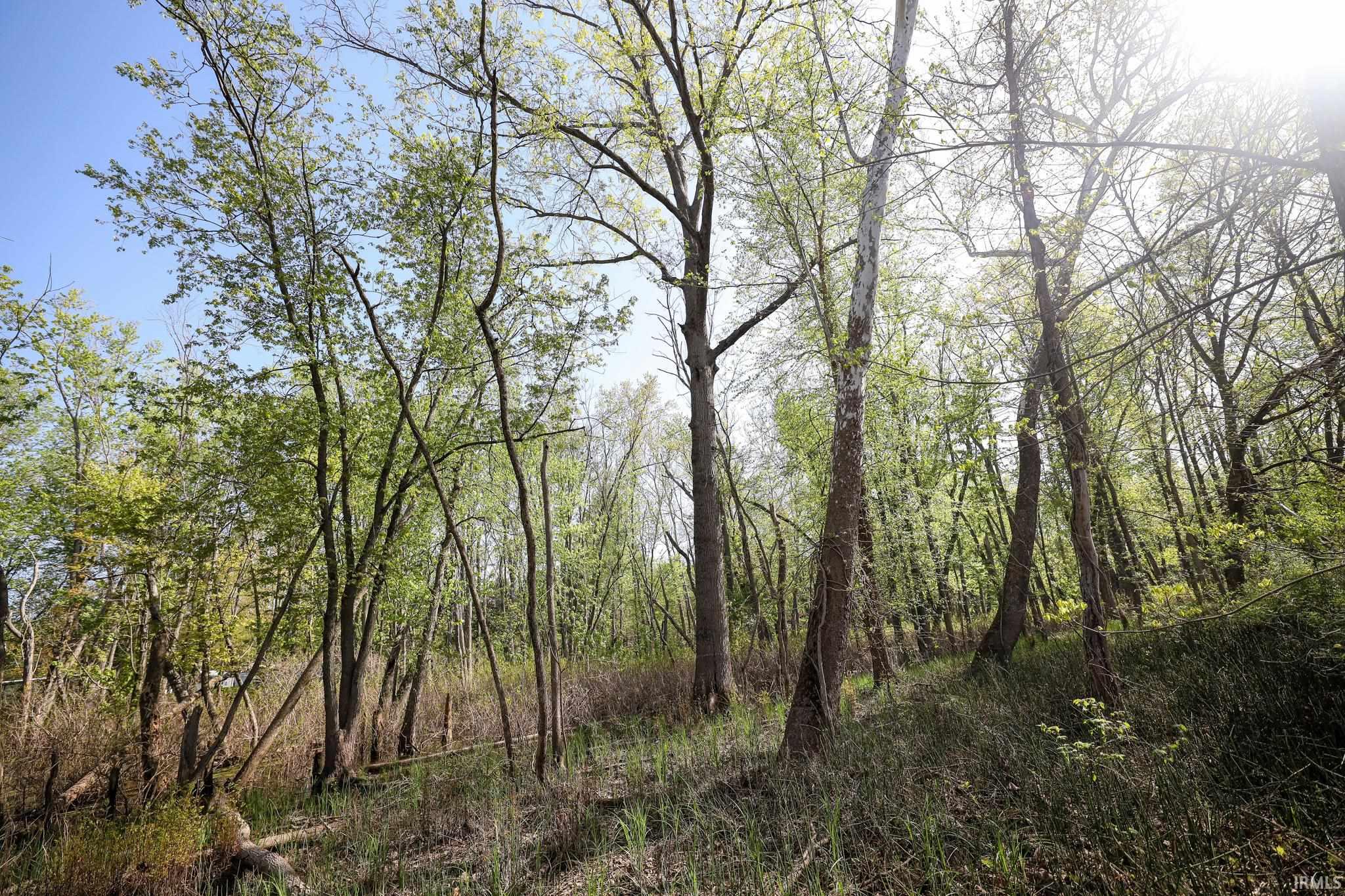  Sycamore Bend