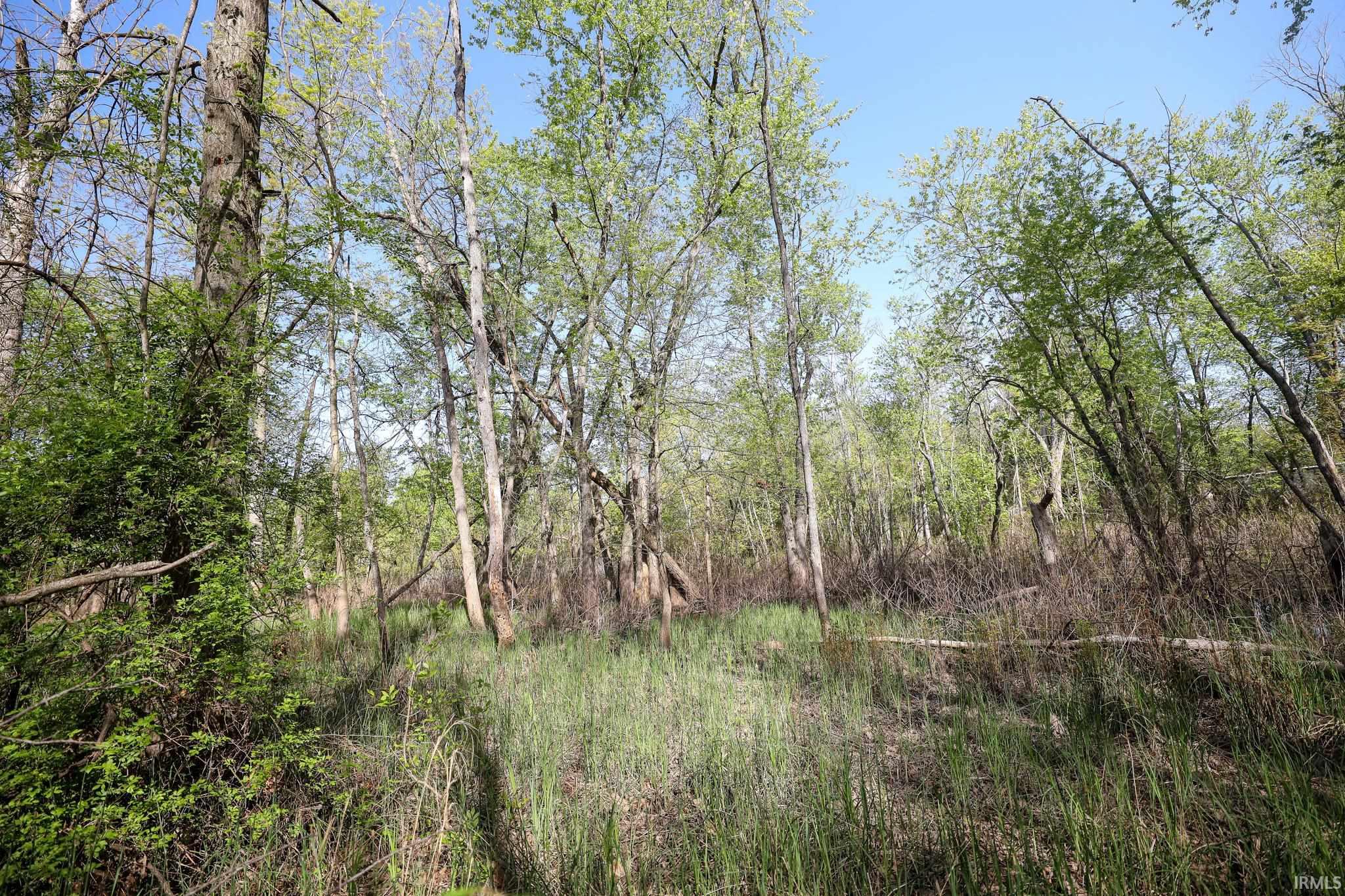  Sycamore Bend