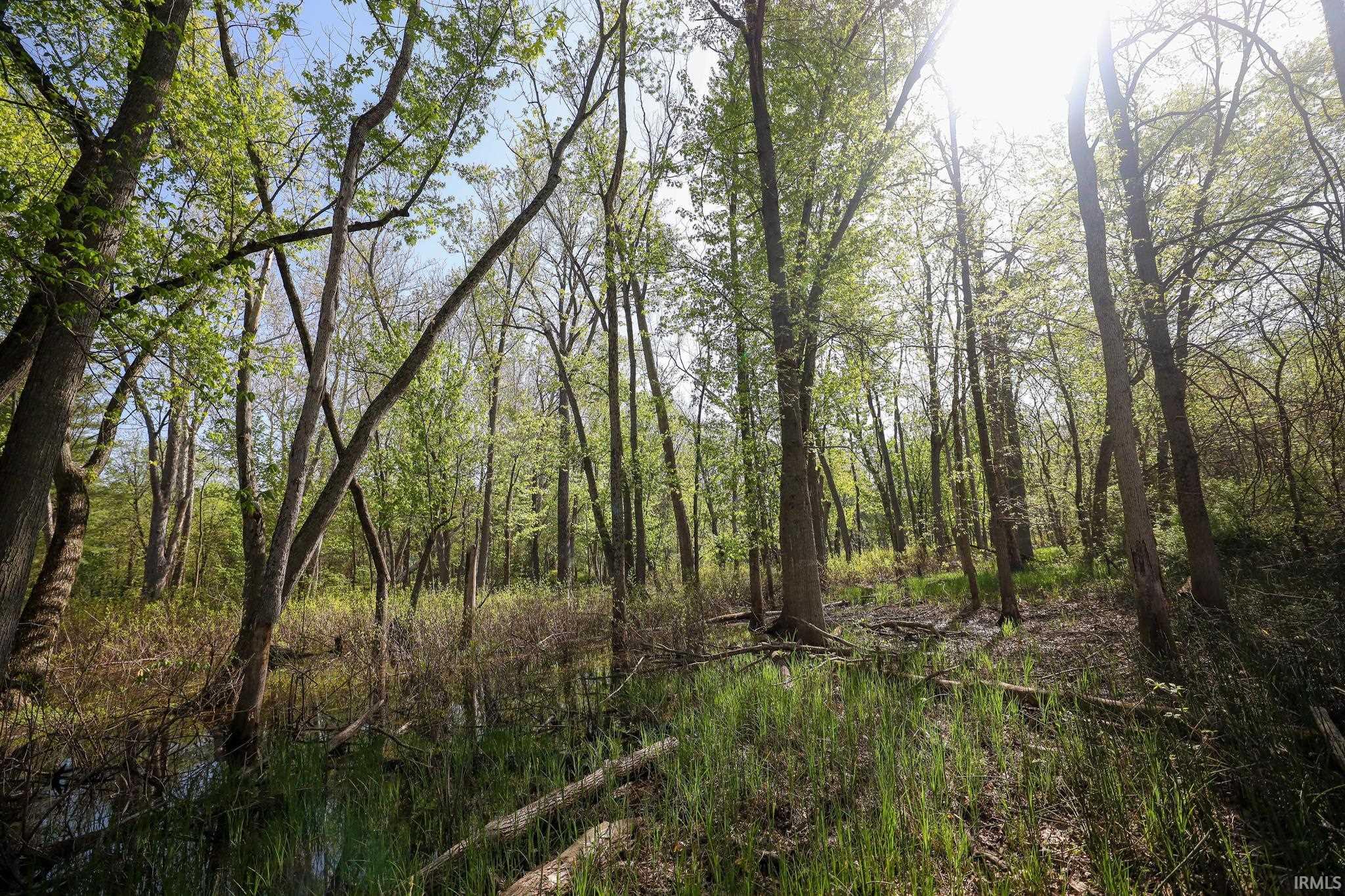  Sycamore Bend