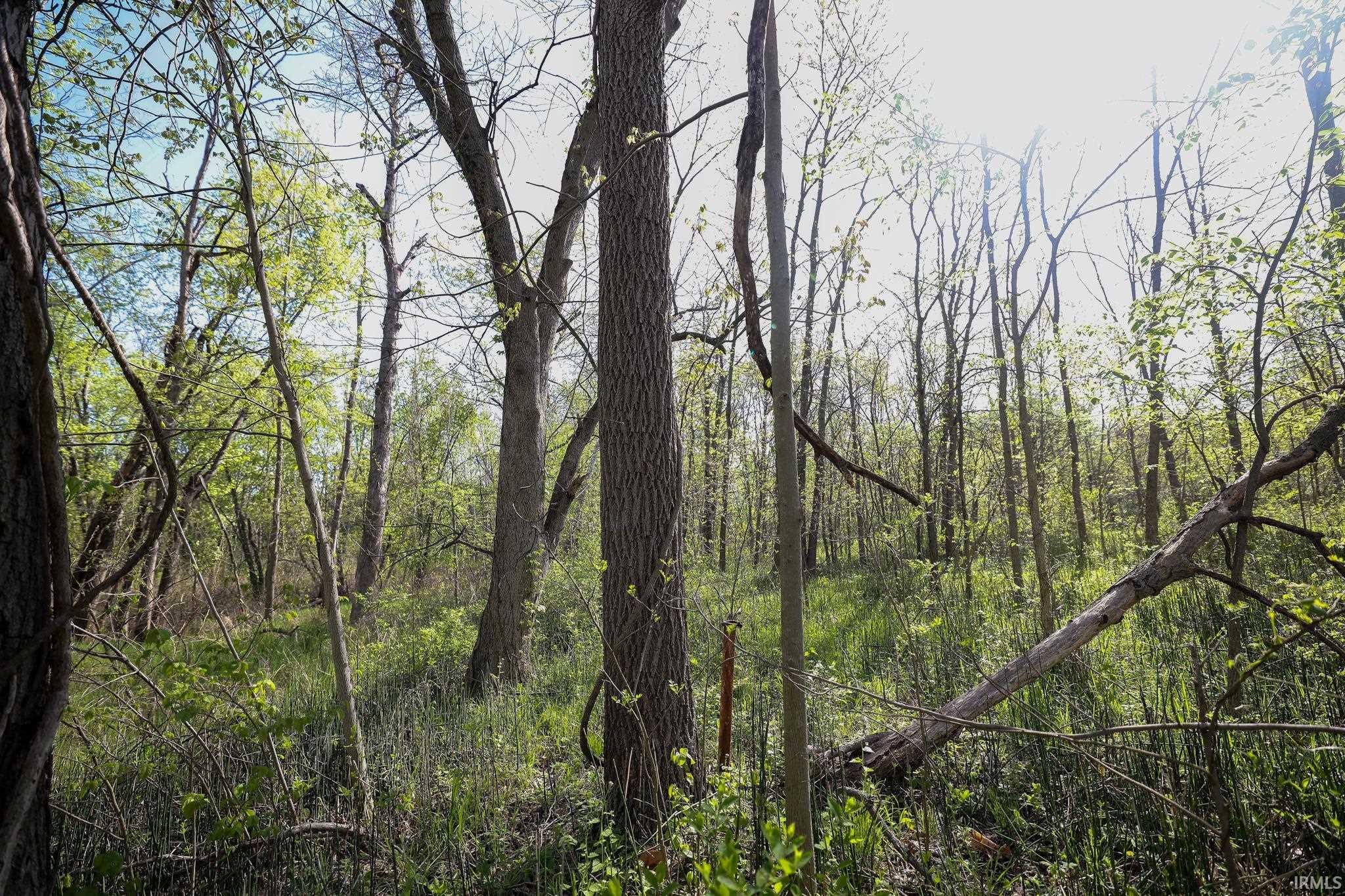  Sycamore Bend