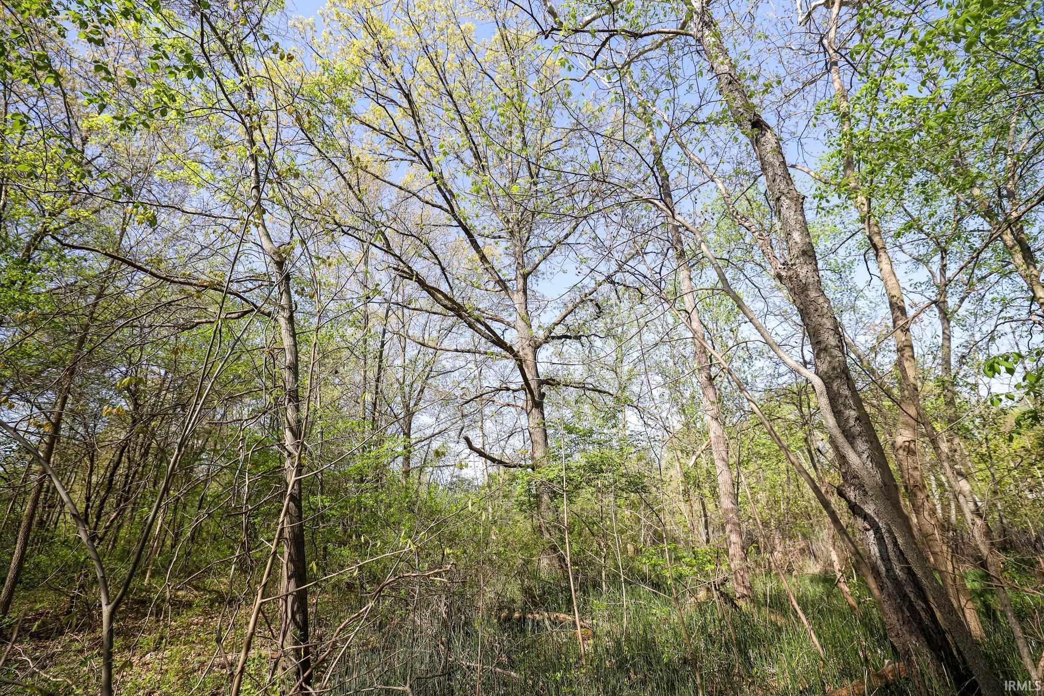  Sycamore Bend