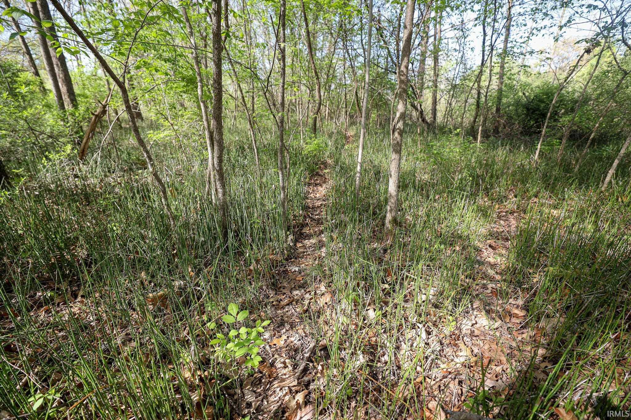  Sycamore Bend